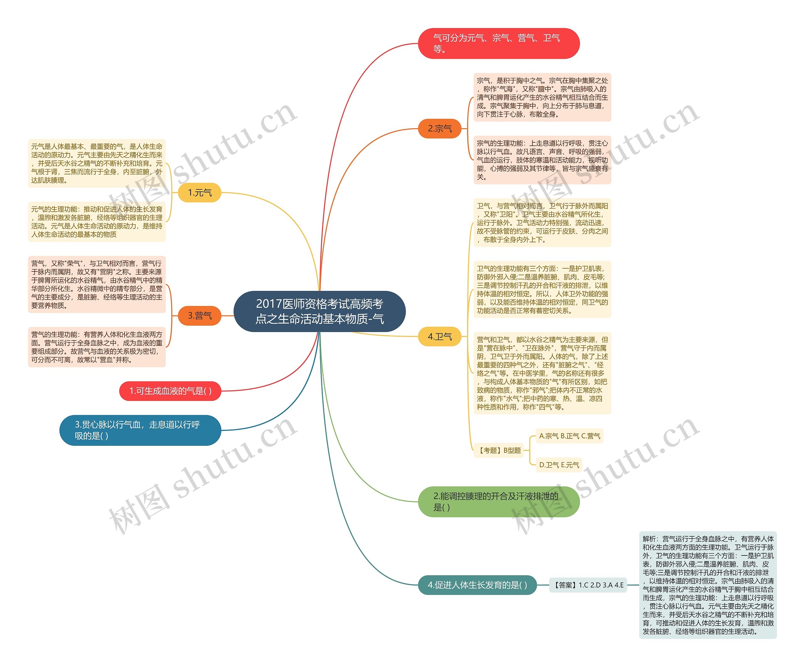 2017医师资格考试高频考点之生命活动基本物质-气