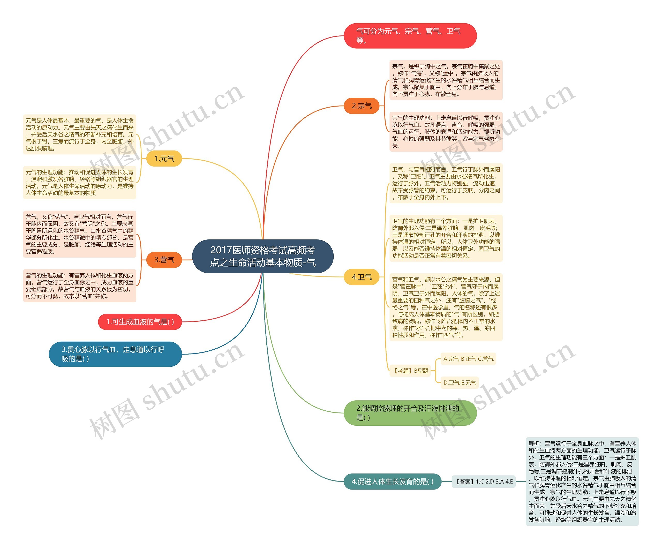 2017医师资格考试高频考点之生命活动基本物质-气 2017医师资格考试高频考点之生命活动基本物质-气
