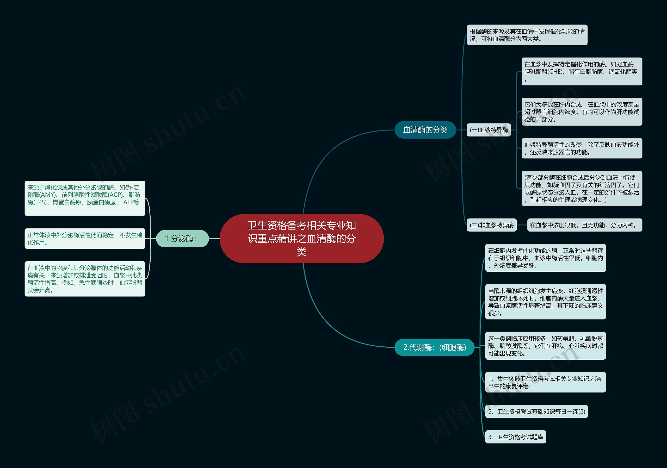卫生资格备考相关专业知识重点精讲之血清酶的分类思维导图高清图 卫生资格备考相关专业知识重点精讲之血清酶的分类思维导图
