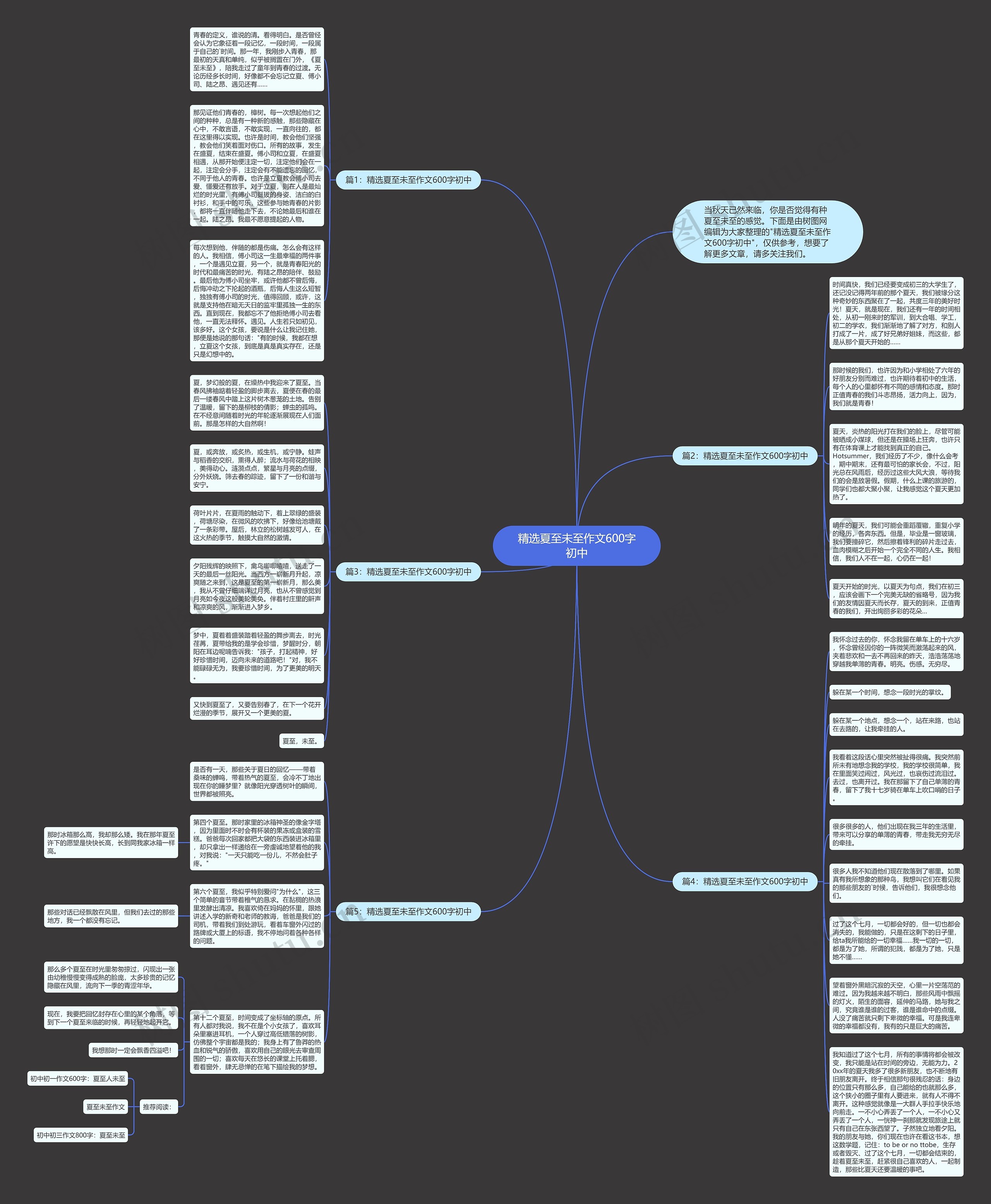 精选夏至未至作文600字初中思维导图