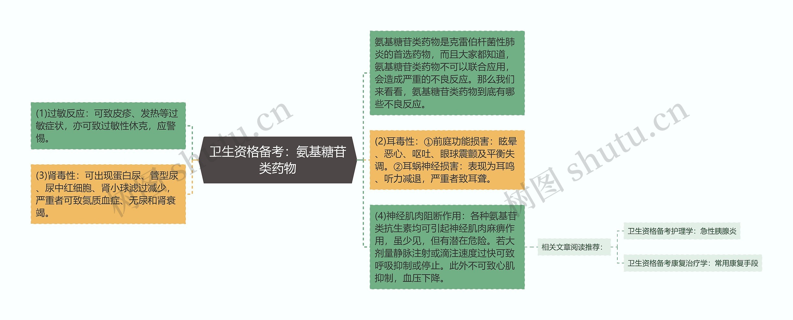 卫生资格备考：氨基糖苷类药物思维导图