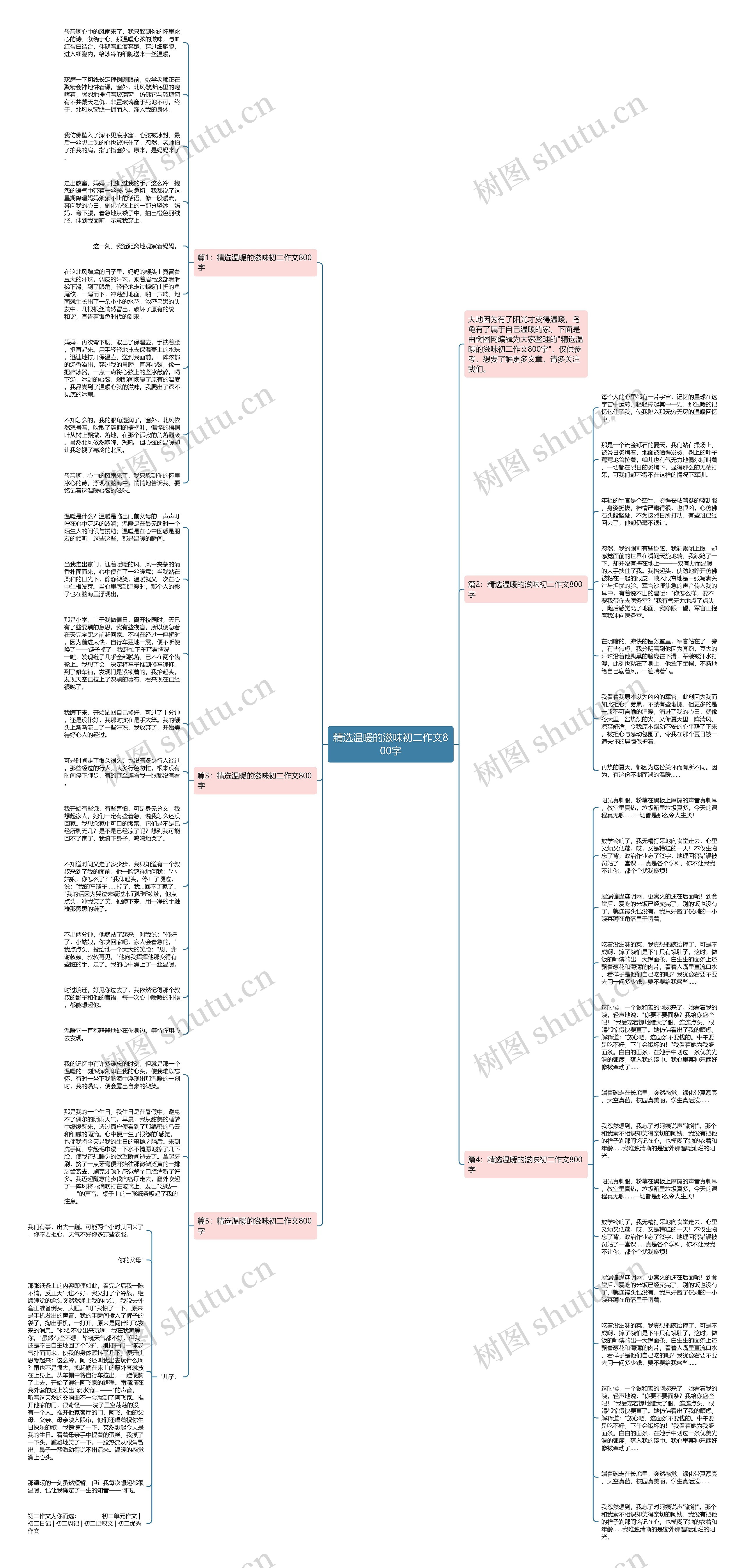 精选温暖的滋味初二作文800字思维导图