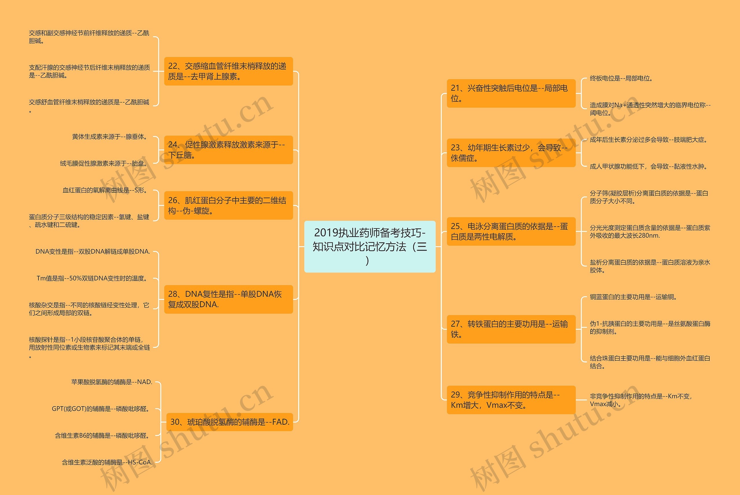 2019执业药师备考技巧-知识点对比记忆方法（三）思维导图