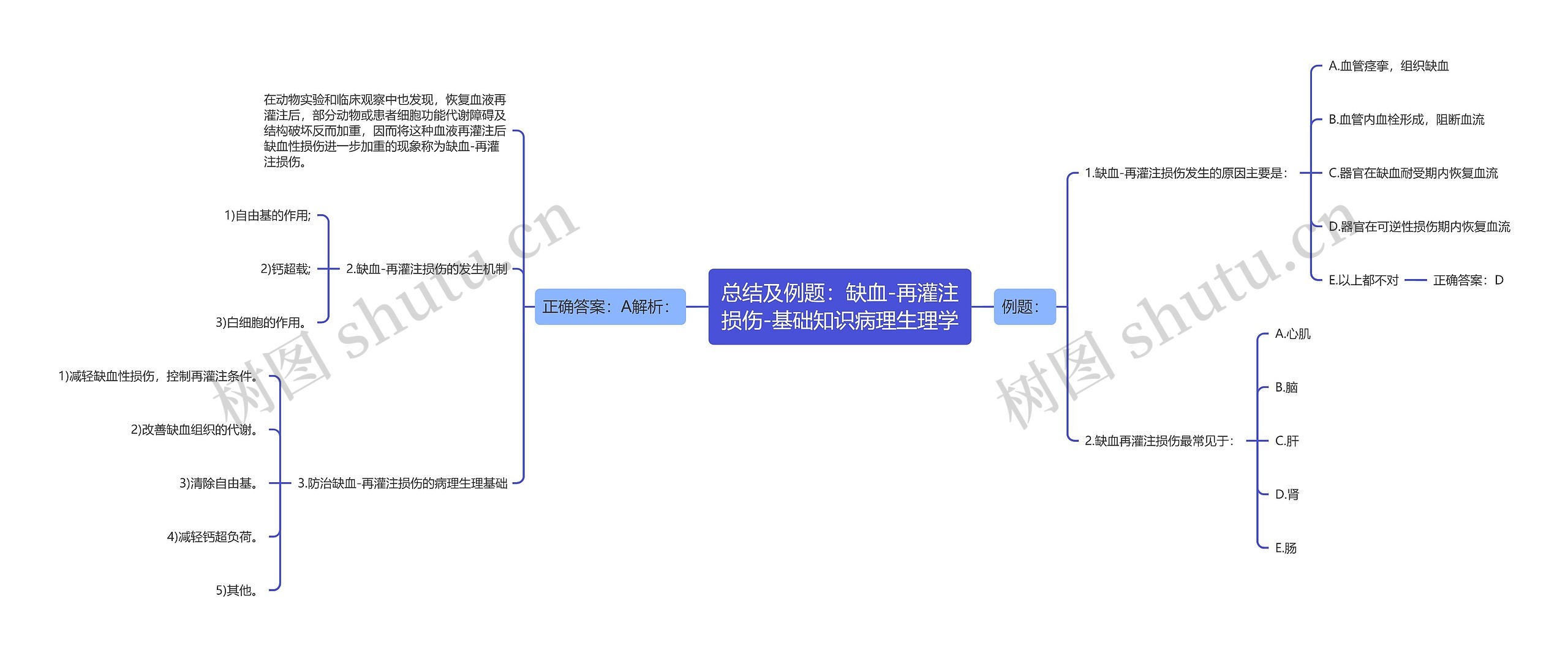 总结及例题：缺血-再灌注损伤-基础知识病理生理学思维导图