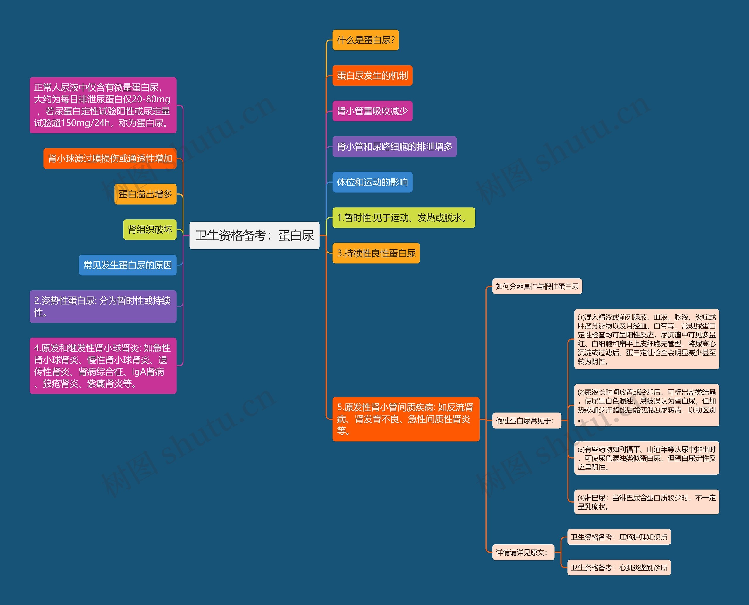 卫生资格备考：蛋白尿思维导图