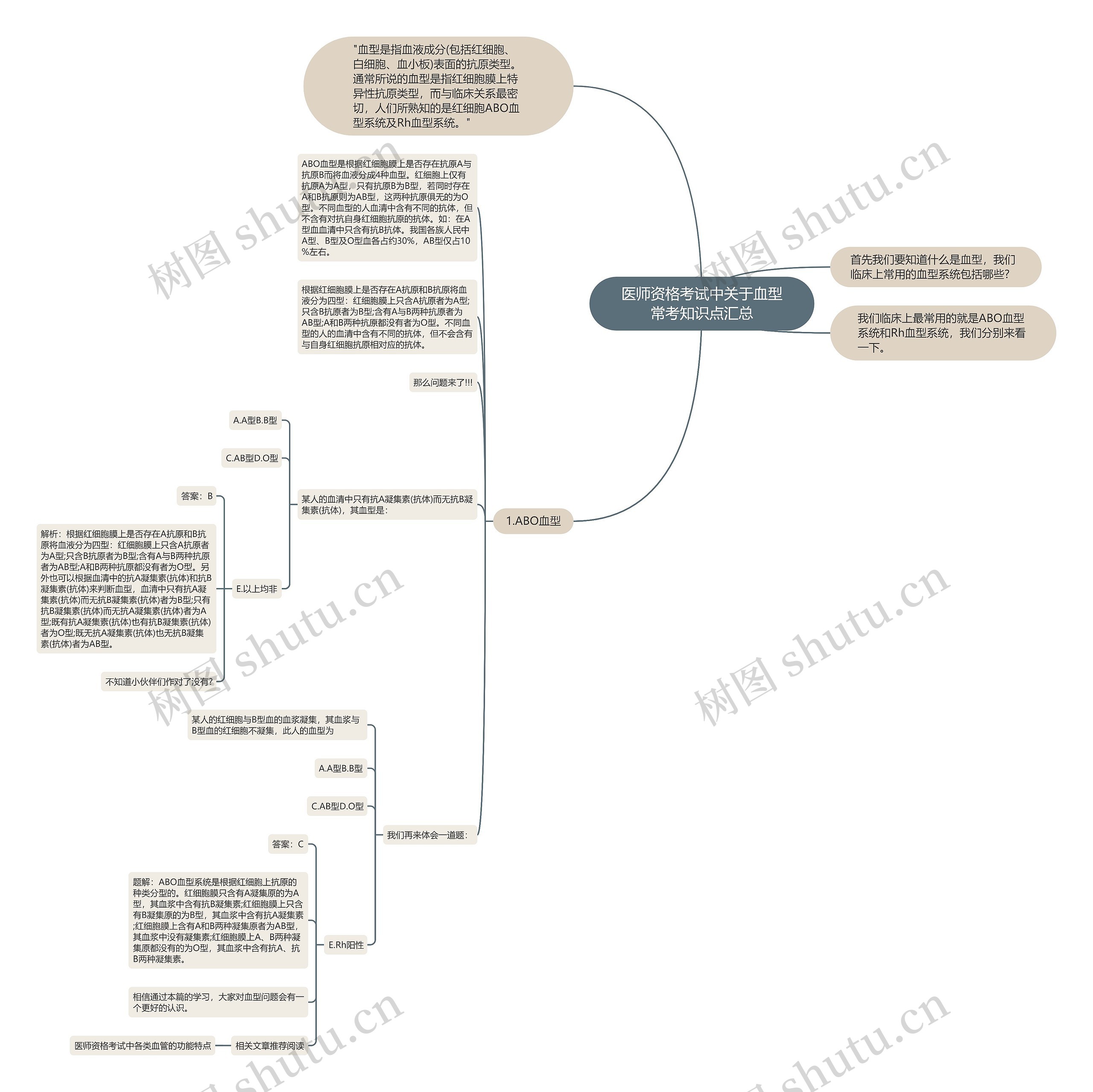 医师资格考试中关于血型常考知识点汇总思维导图