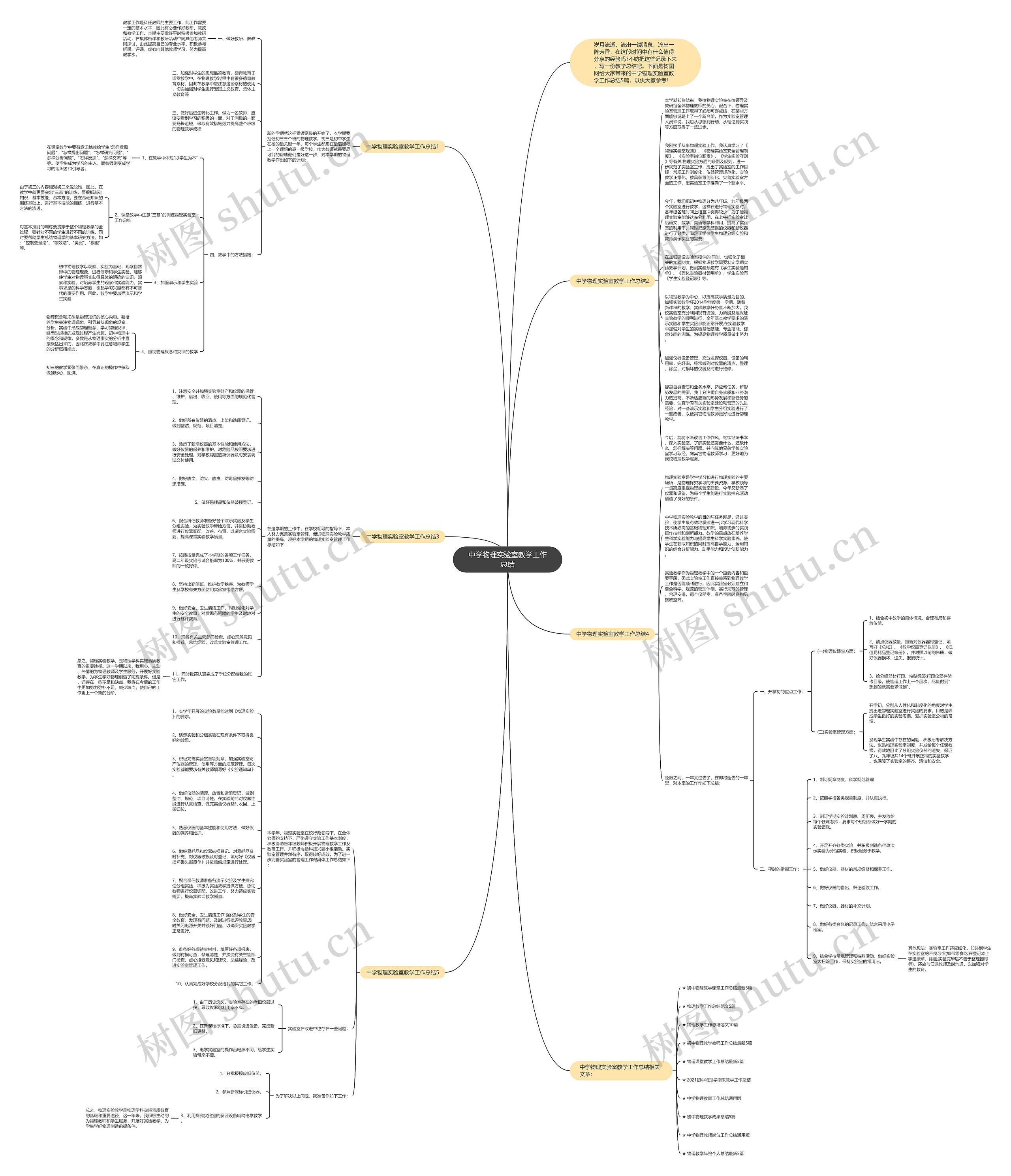 中学物理实验室教学工作总结思维导图