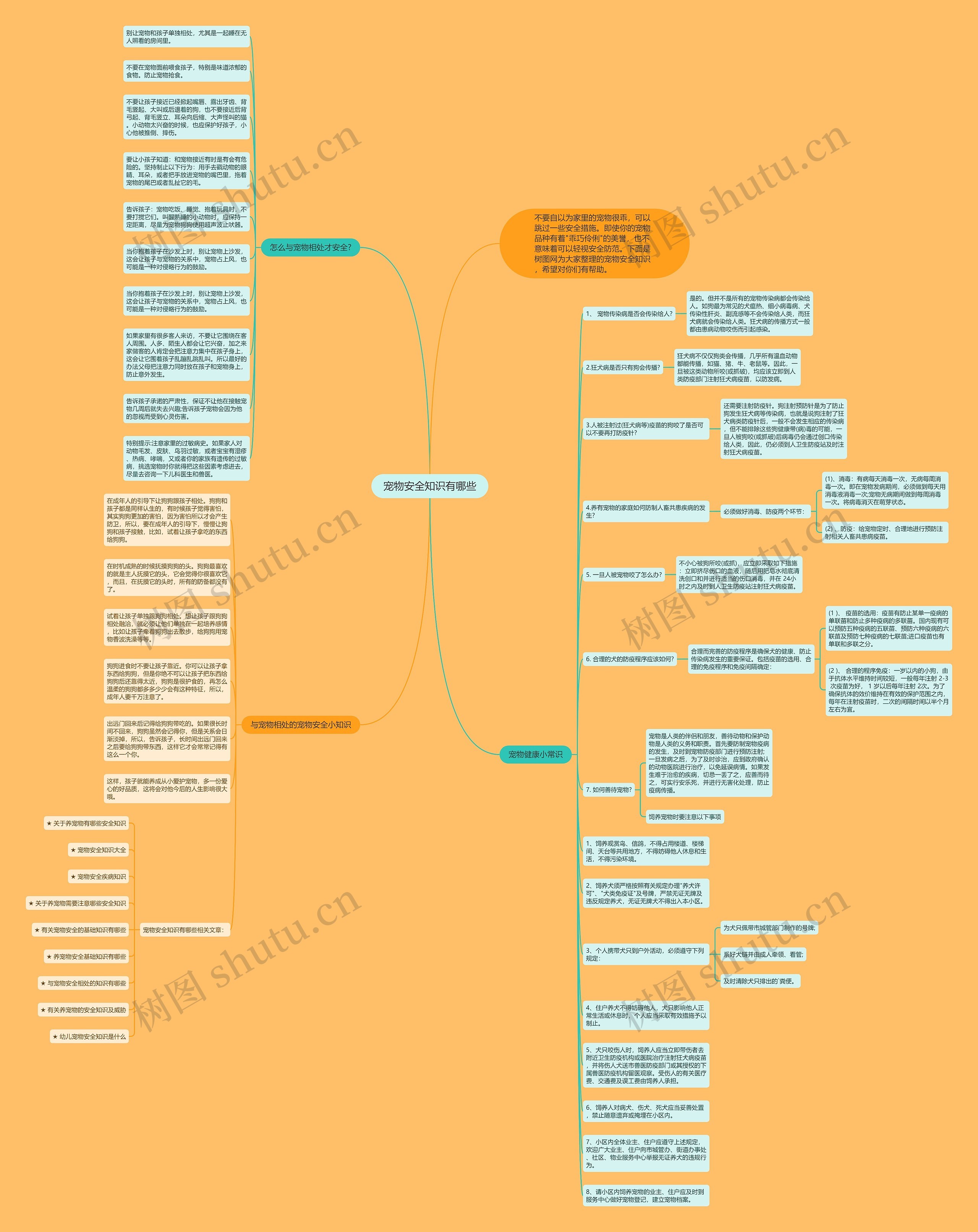 宠物安全知识有哪些思维导图