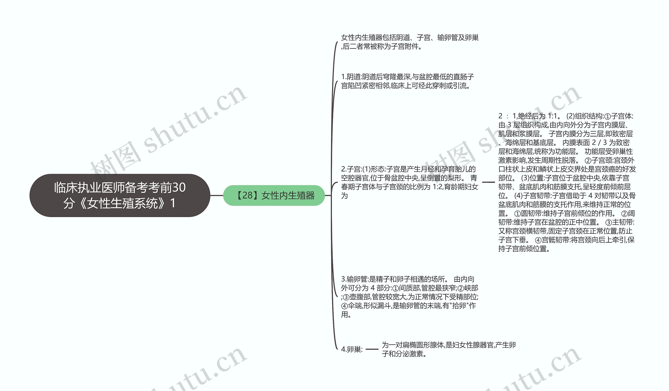 临床执业医师备考考前30分《女性生殖系统》1思维导图