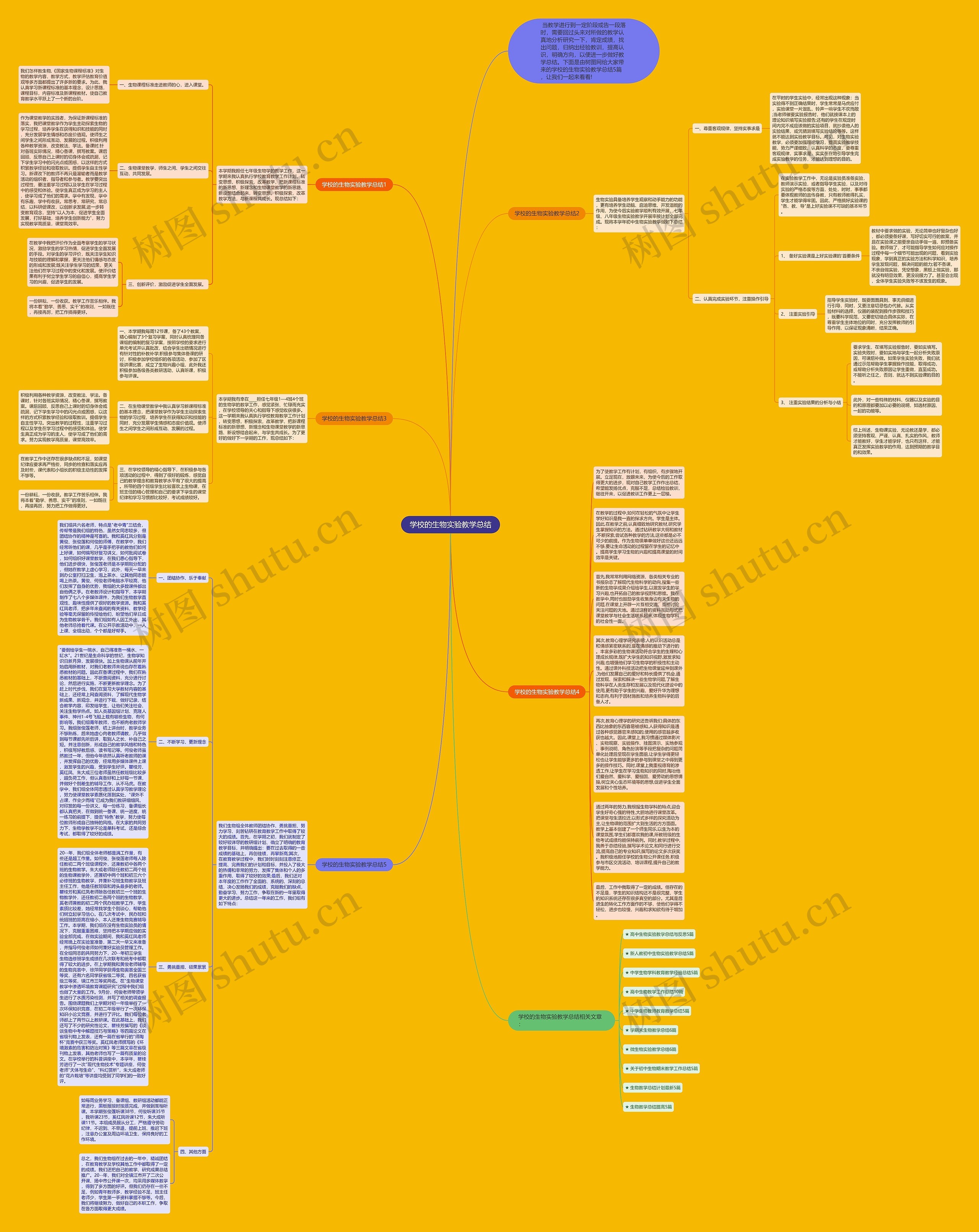 学校的生物实验教学总结思维导图