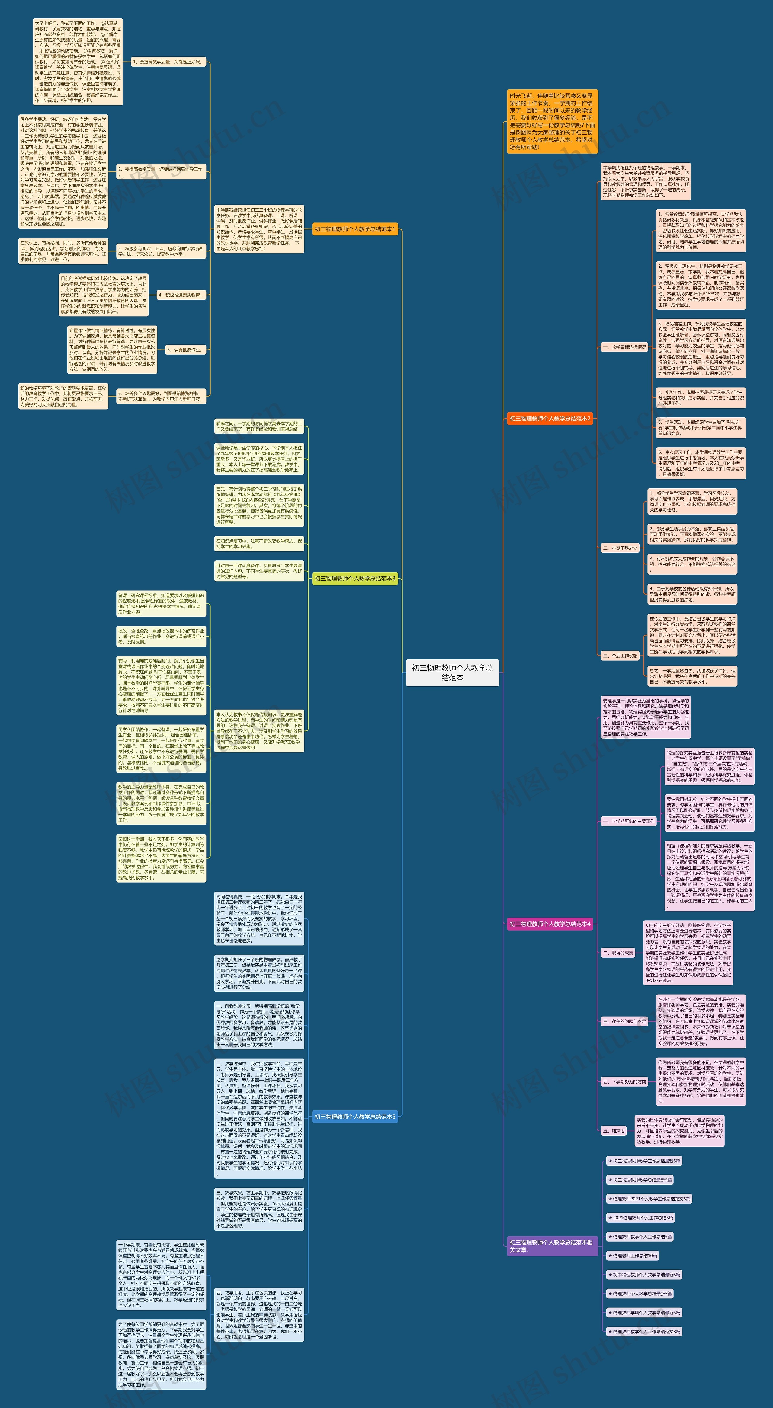 初三物理教师个人教学总结范本思维导图