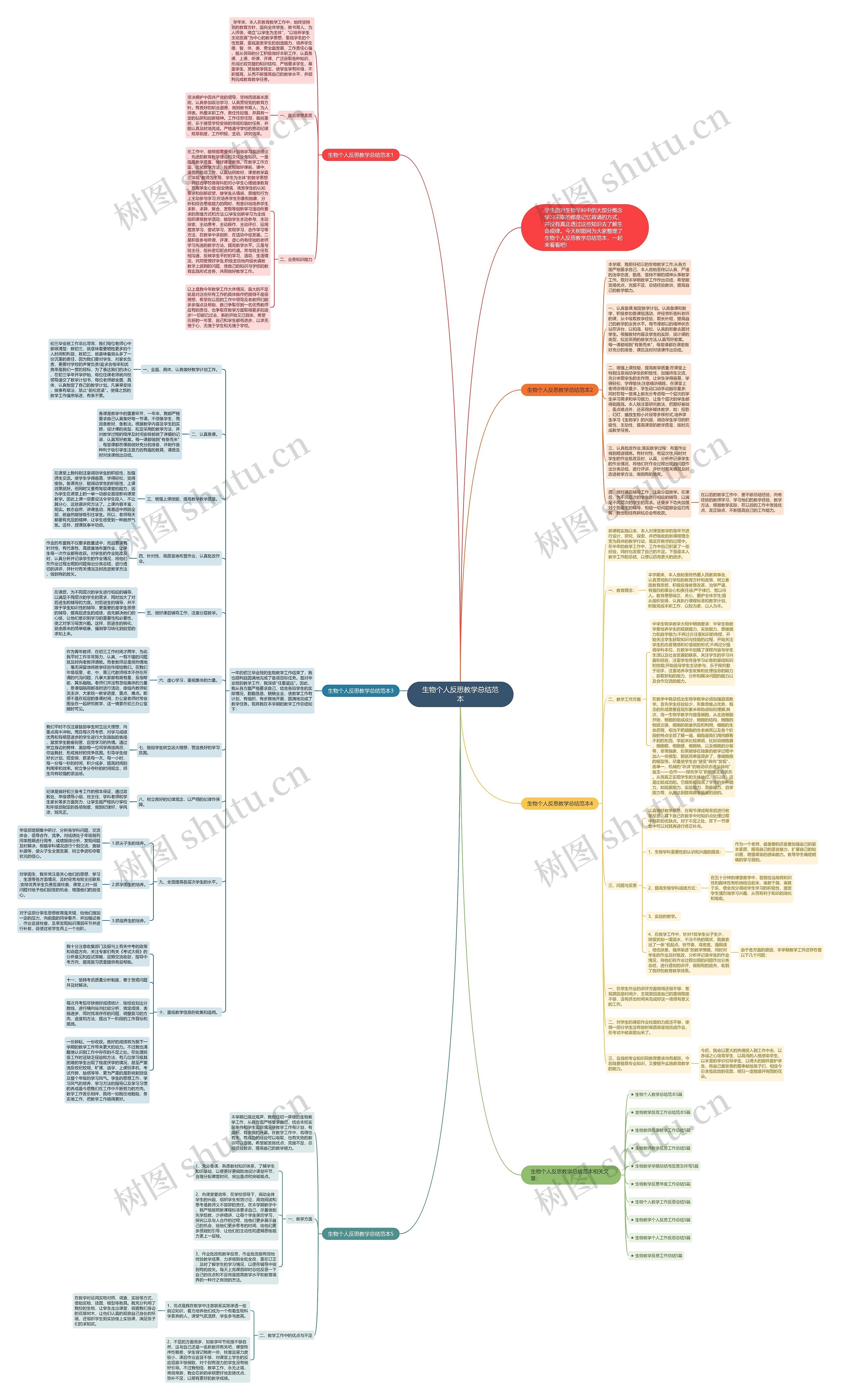 生物个人反思教学总结范本思维导图