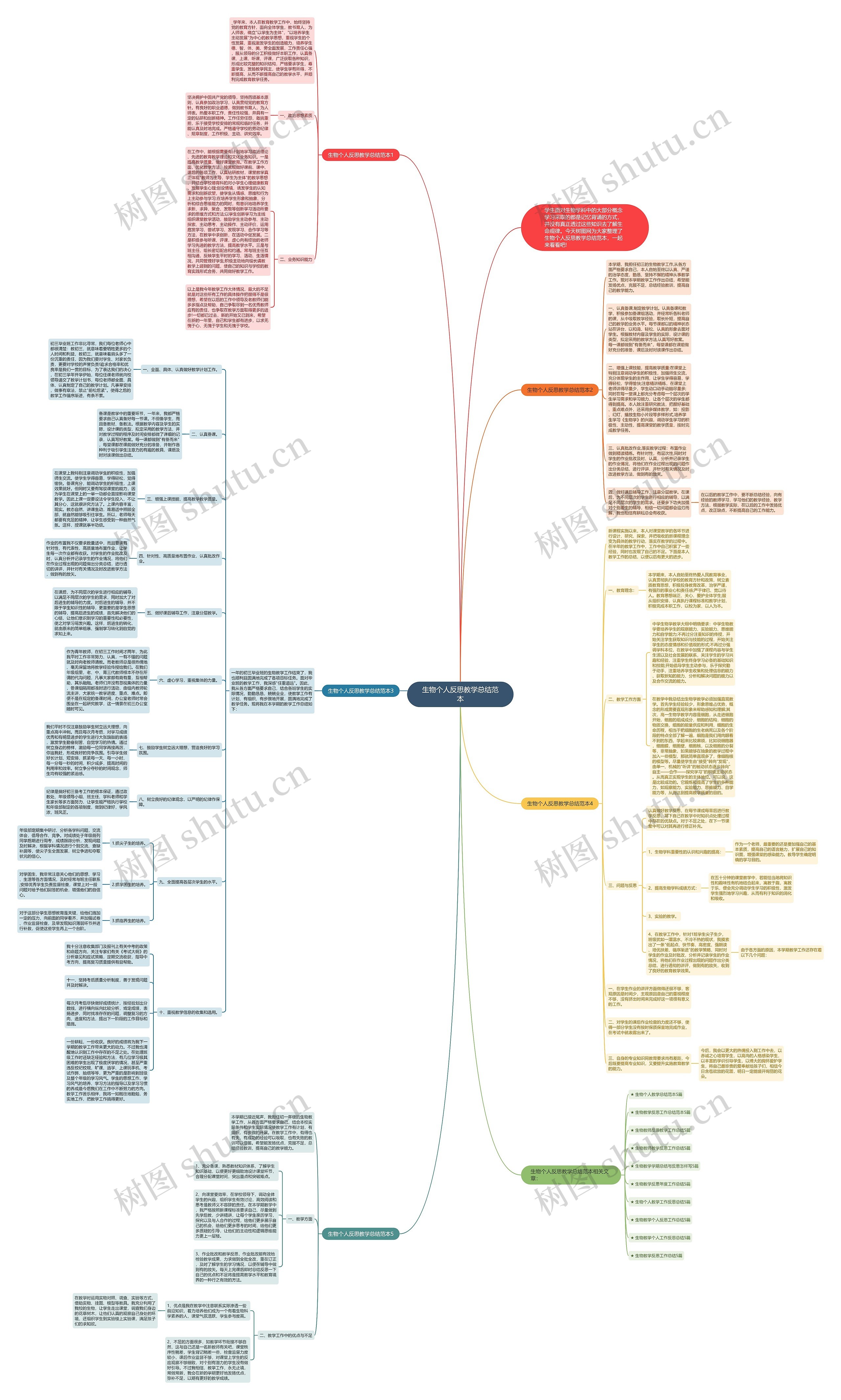 生物个人反思教学总结范本思维导图高清图 生物个人反思教学总结范本思维导图