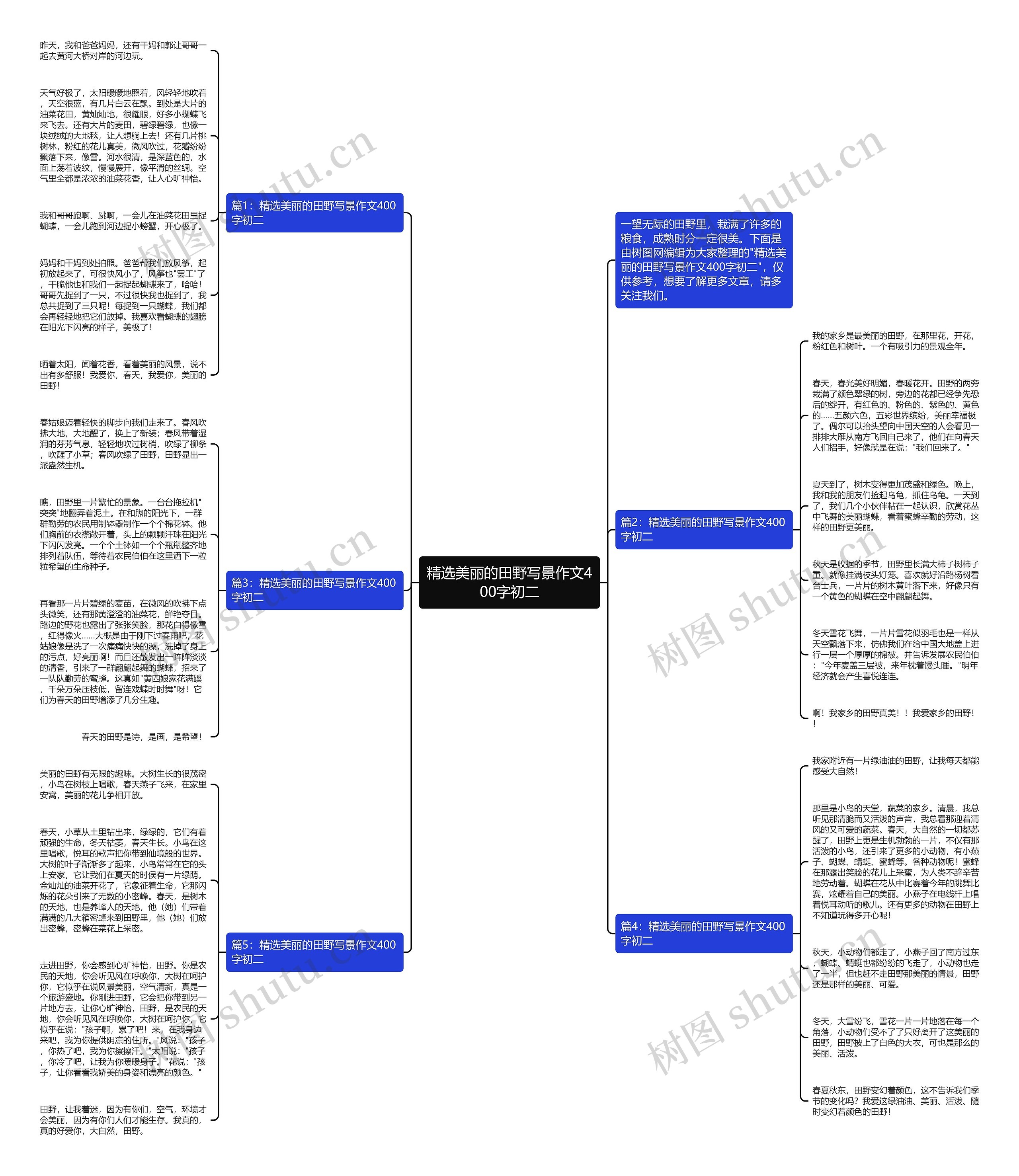 精选美丽的田野写景作文400字初二思维导图