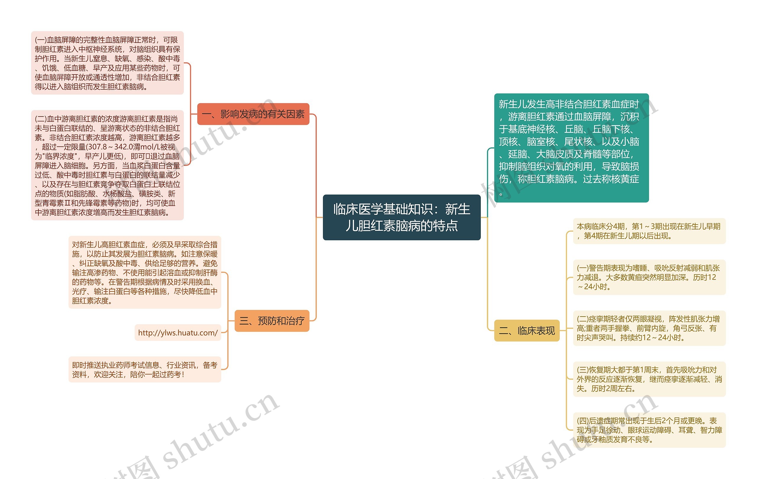 临床医学基础知识：新生儿胆红素脑病的特点思维导图