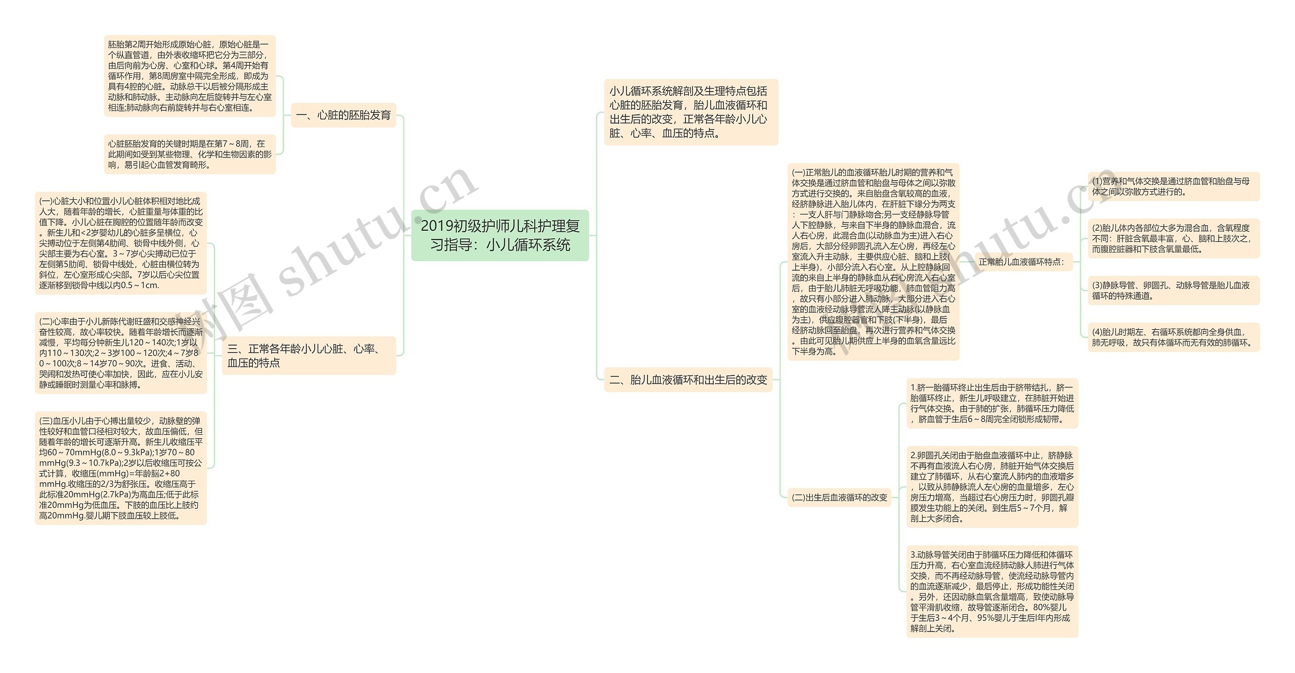 2019初级护师儿科护理复习指导：小儿循环系统思维导图