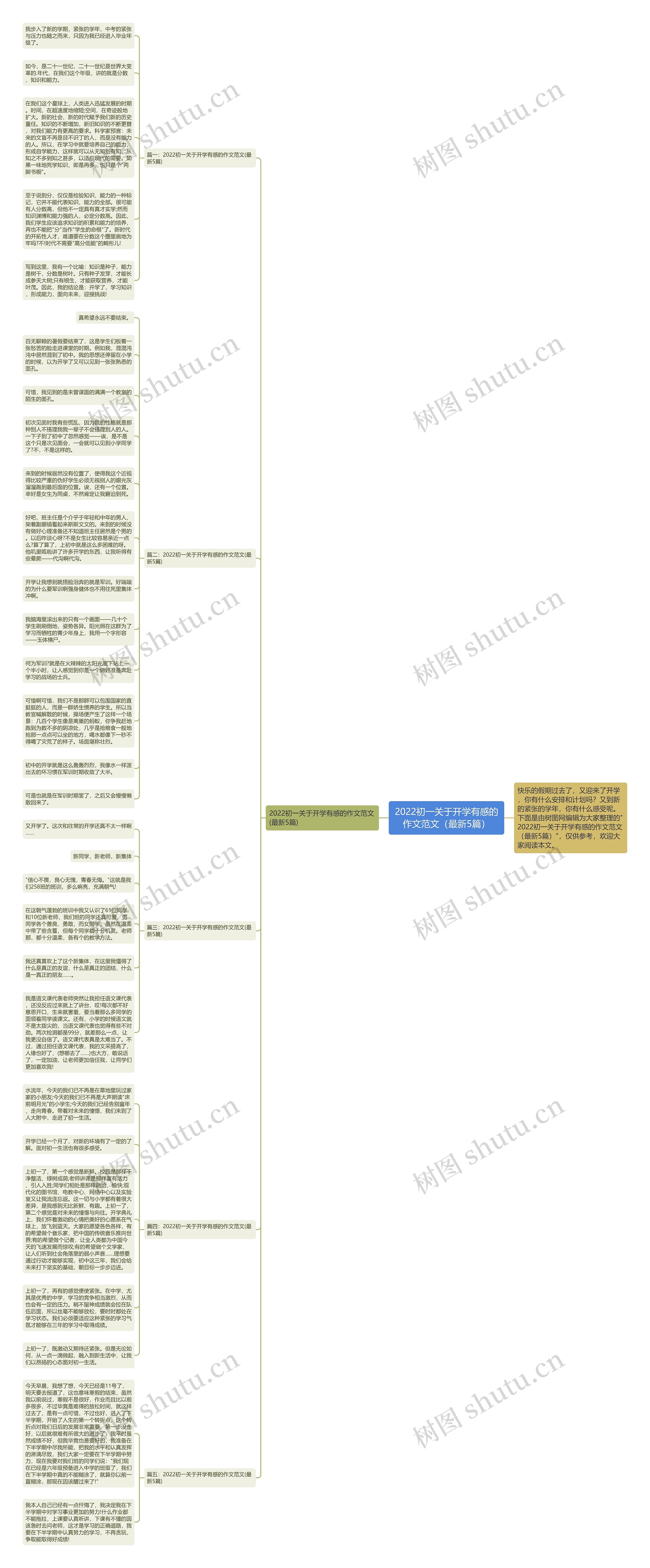 2022初一关于开学有感的作文范文（最新5篇）思维导图