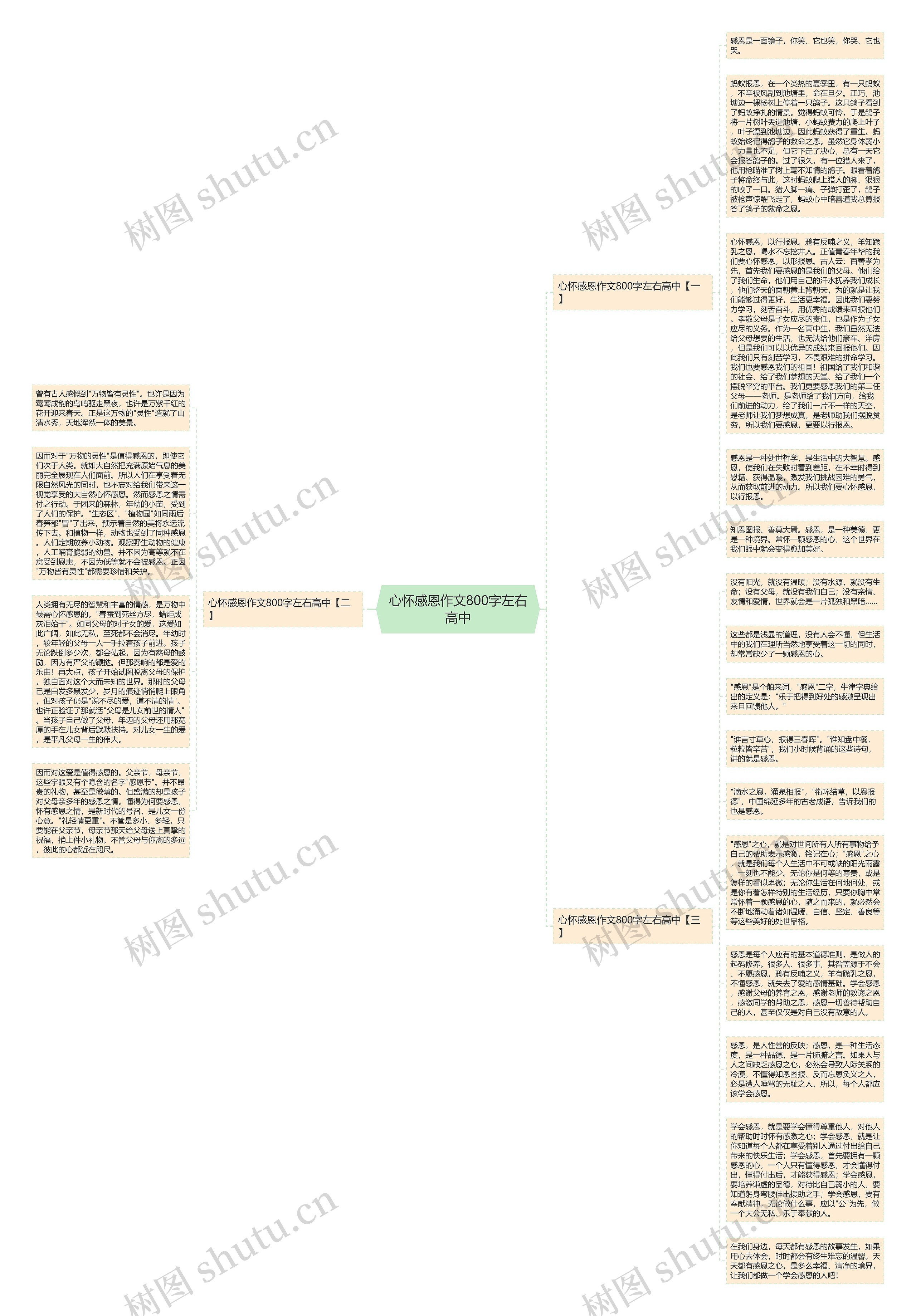 心怀感恩作文800字左右高中思维导图