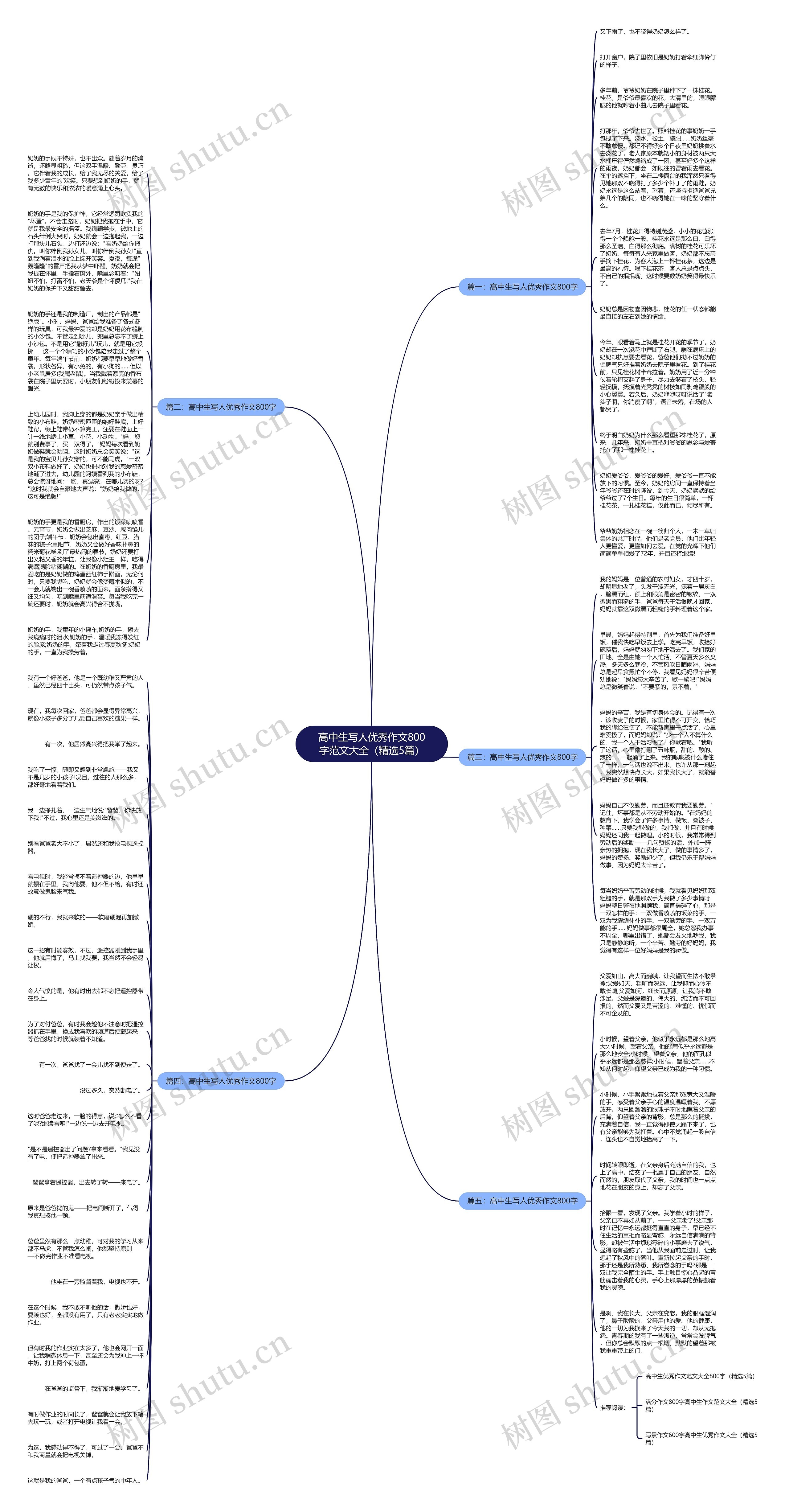 高中生写人优秀作文800字范文大全（精选5篇）思维导图