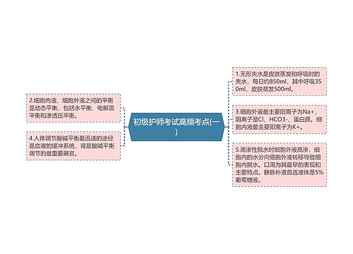 初级护师考试高频考点(一)