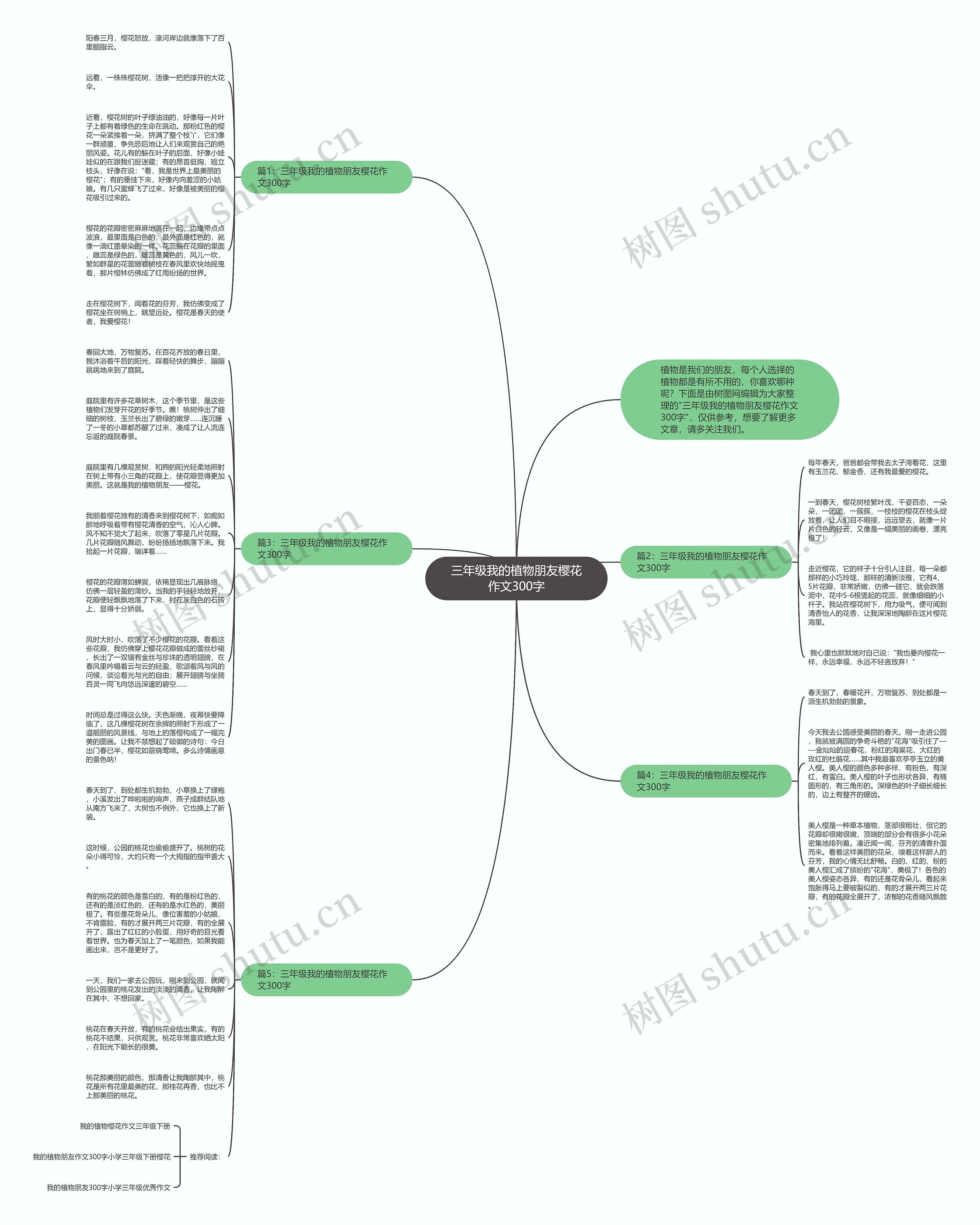 三年级我的植物朋友樱花作文300字思维导图