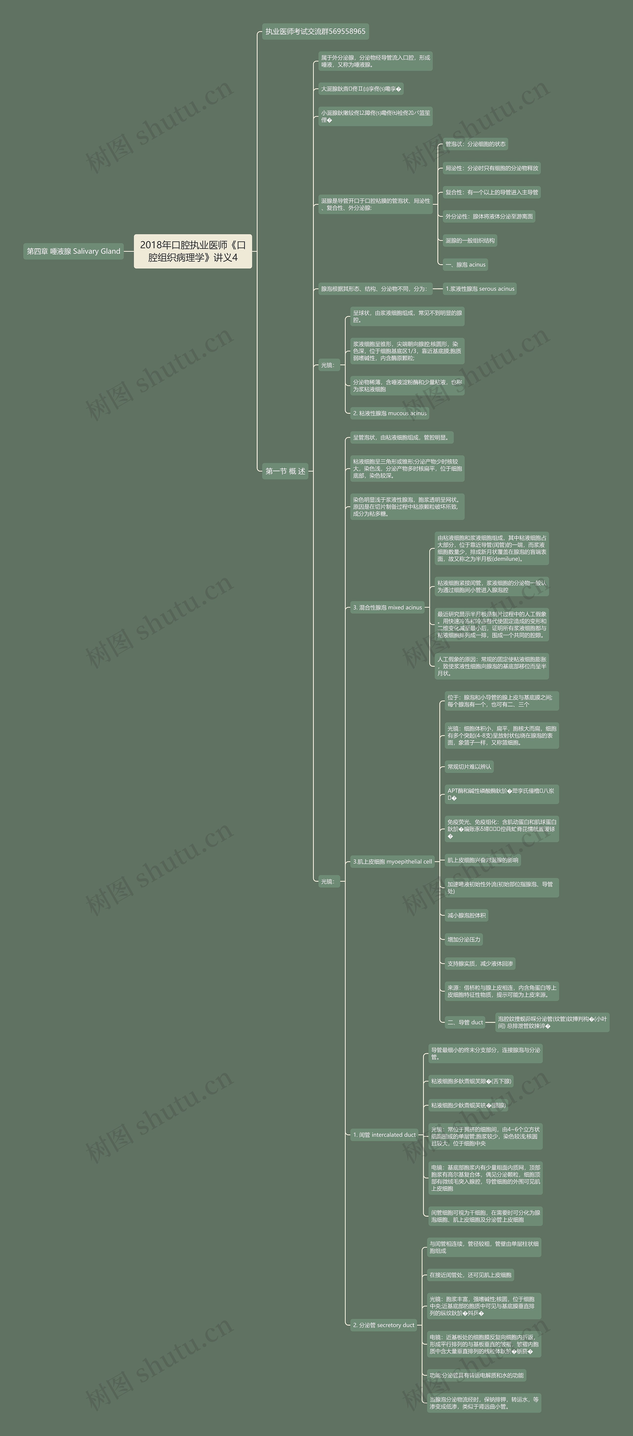 2018年口腔执业医师《口腔组织病理学》讲义4思维导图