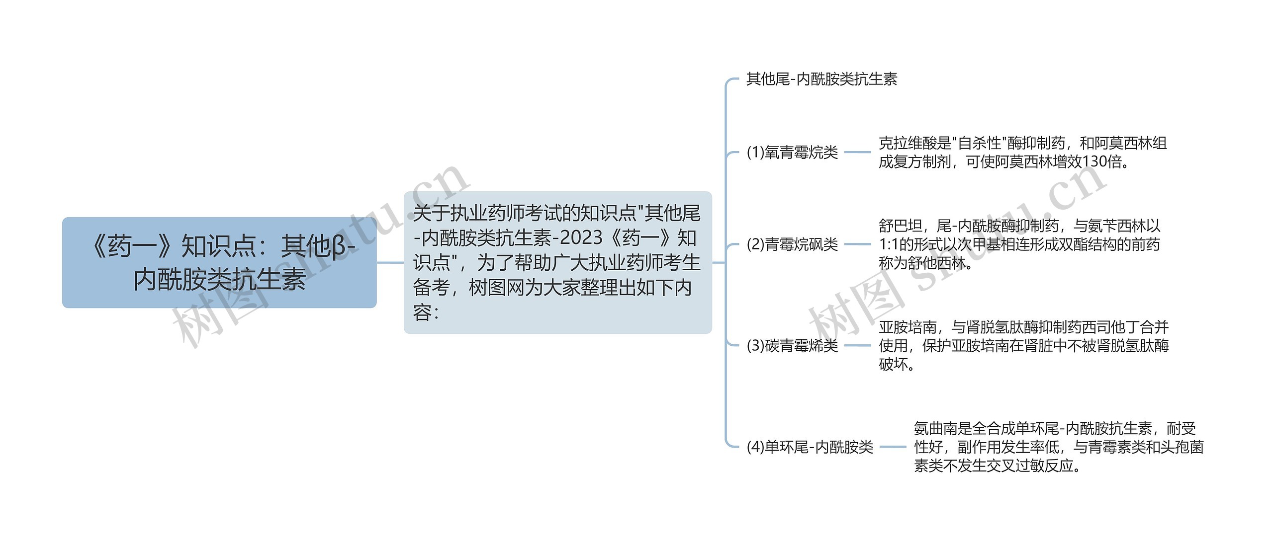 《药一》知识点：其他β-内酰胺类抗生素思维导图