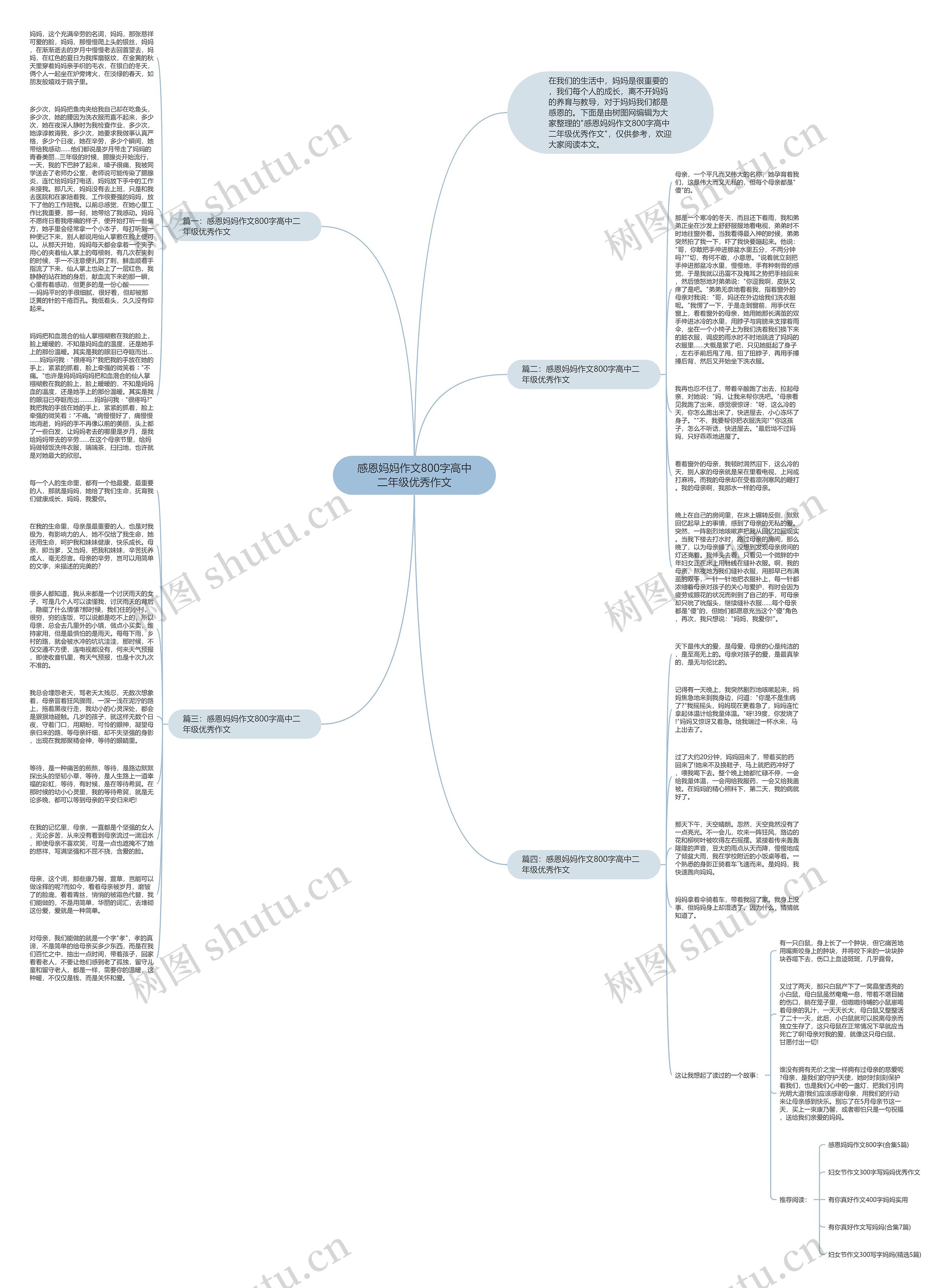 感恩妈妈作文800字高中二年级优秀作文思维导图