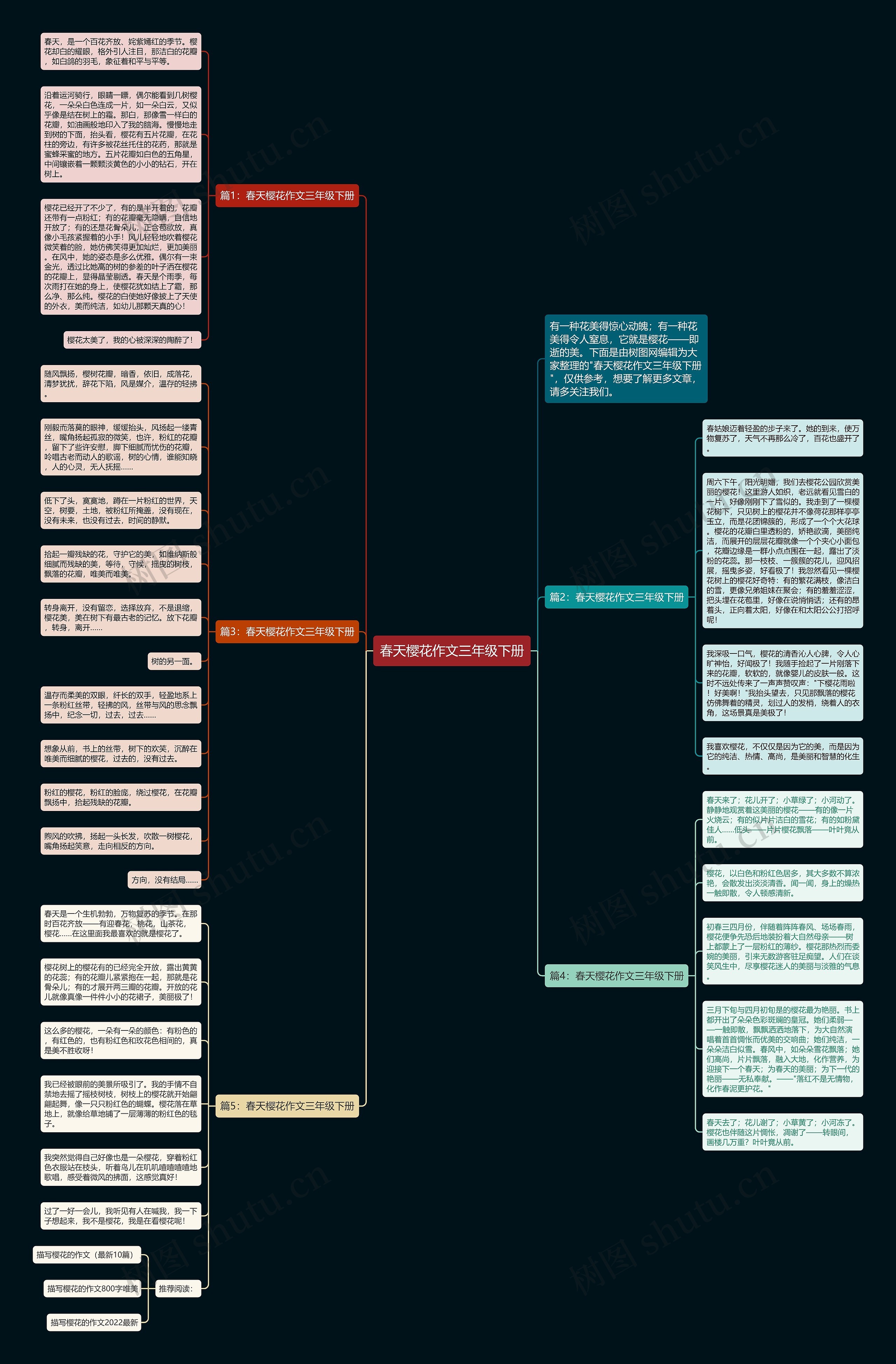 春天樱花作文三年级下册思维导图