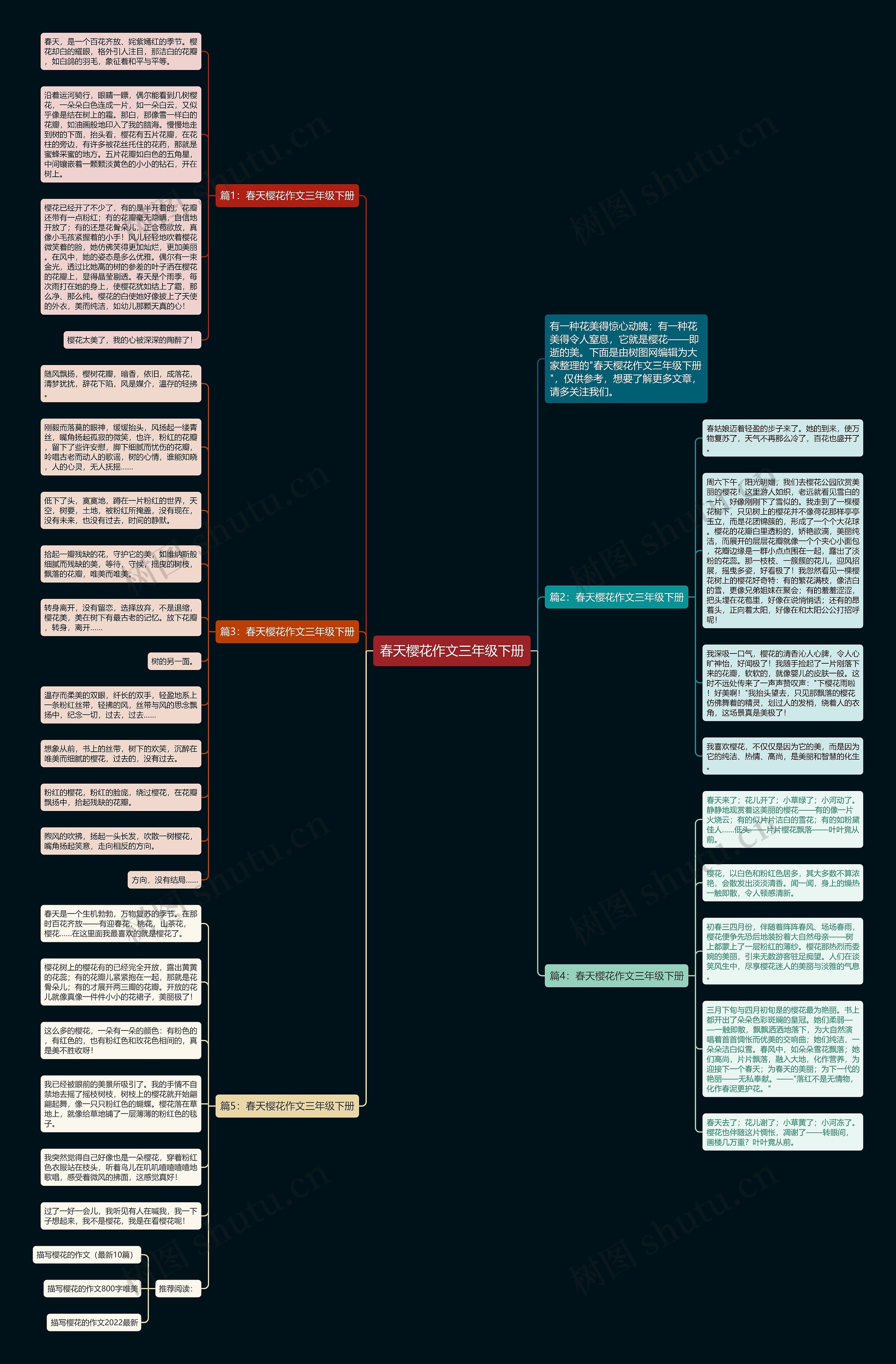 春天樱花作文三年级下册思维导图高清图 春天樱花作文三年级下册思维导图