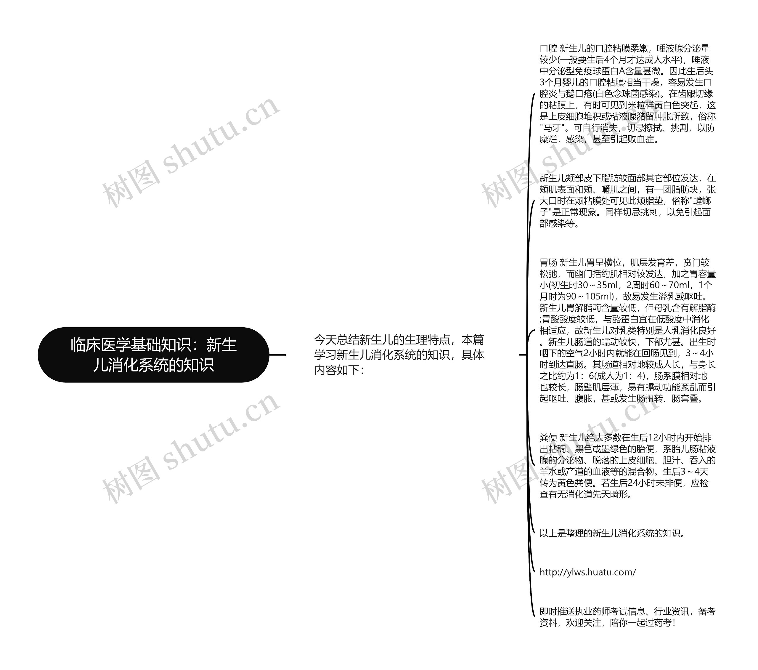 临床医学基础知识：新生儿消化系统的知识