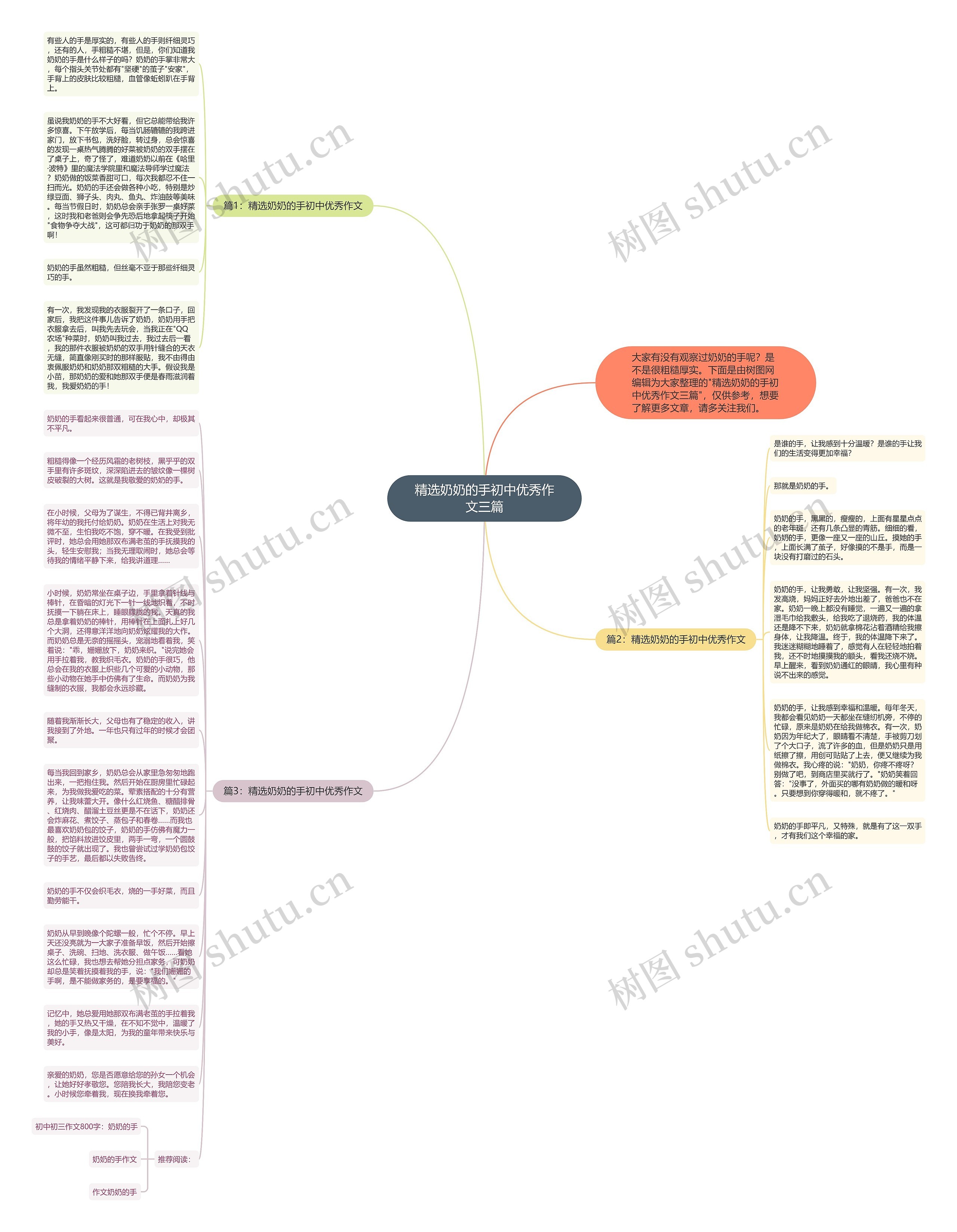 精选奶奶的手初中优秀作文三篇思维导图