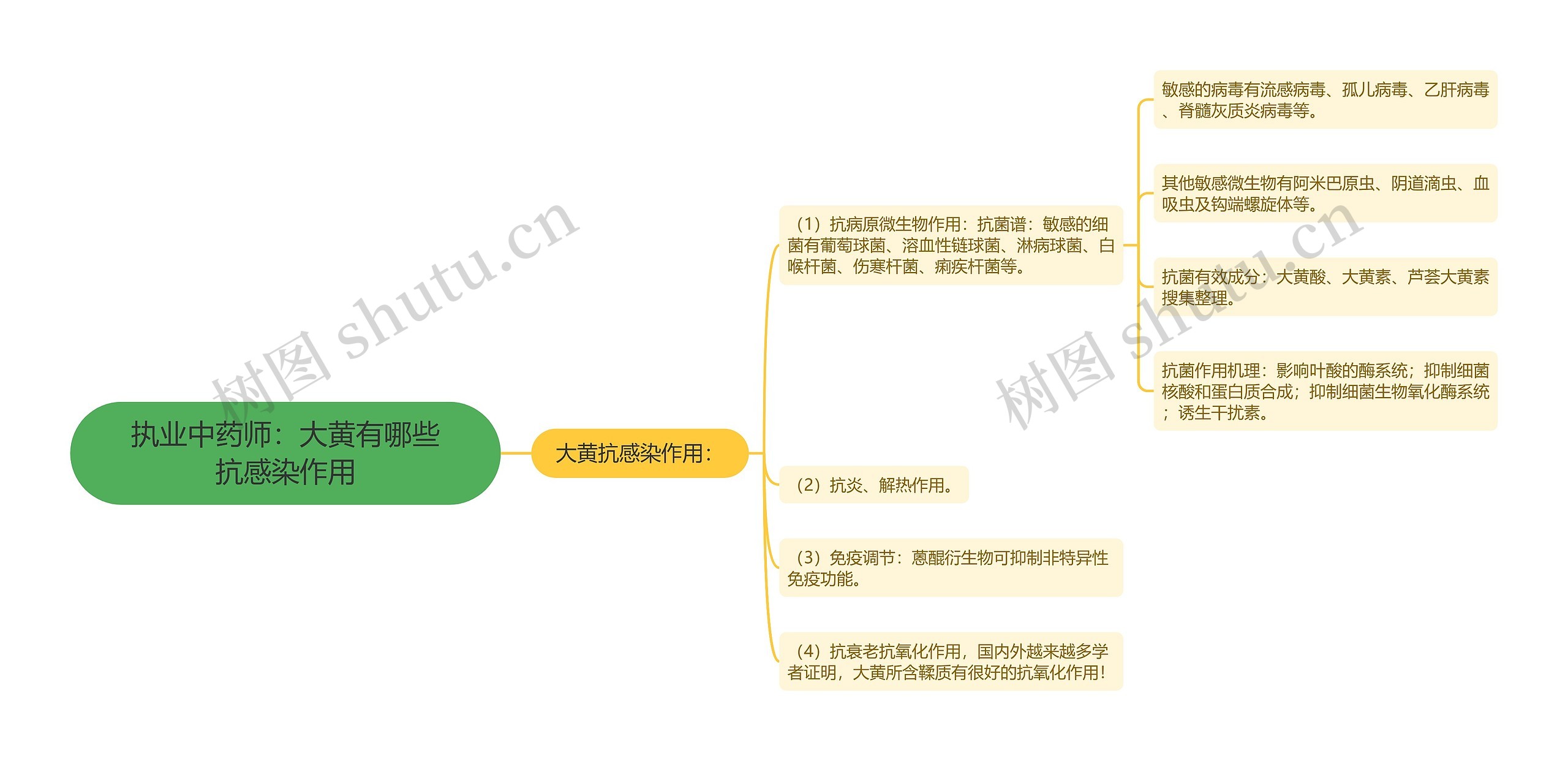 执业中药师：大黄有哪些抗感染作用思维导图