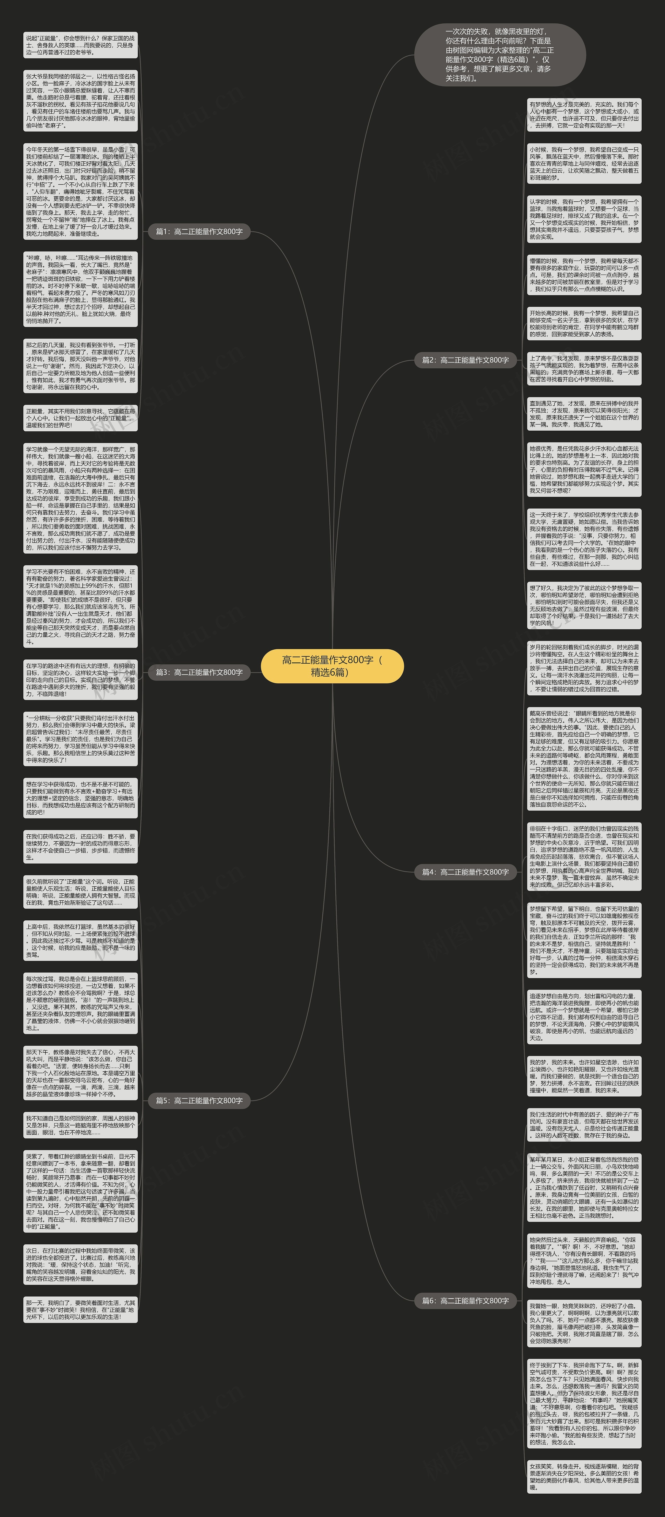 高二正能量作文800字（精选6篇）思维导图