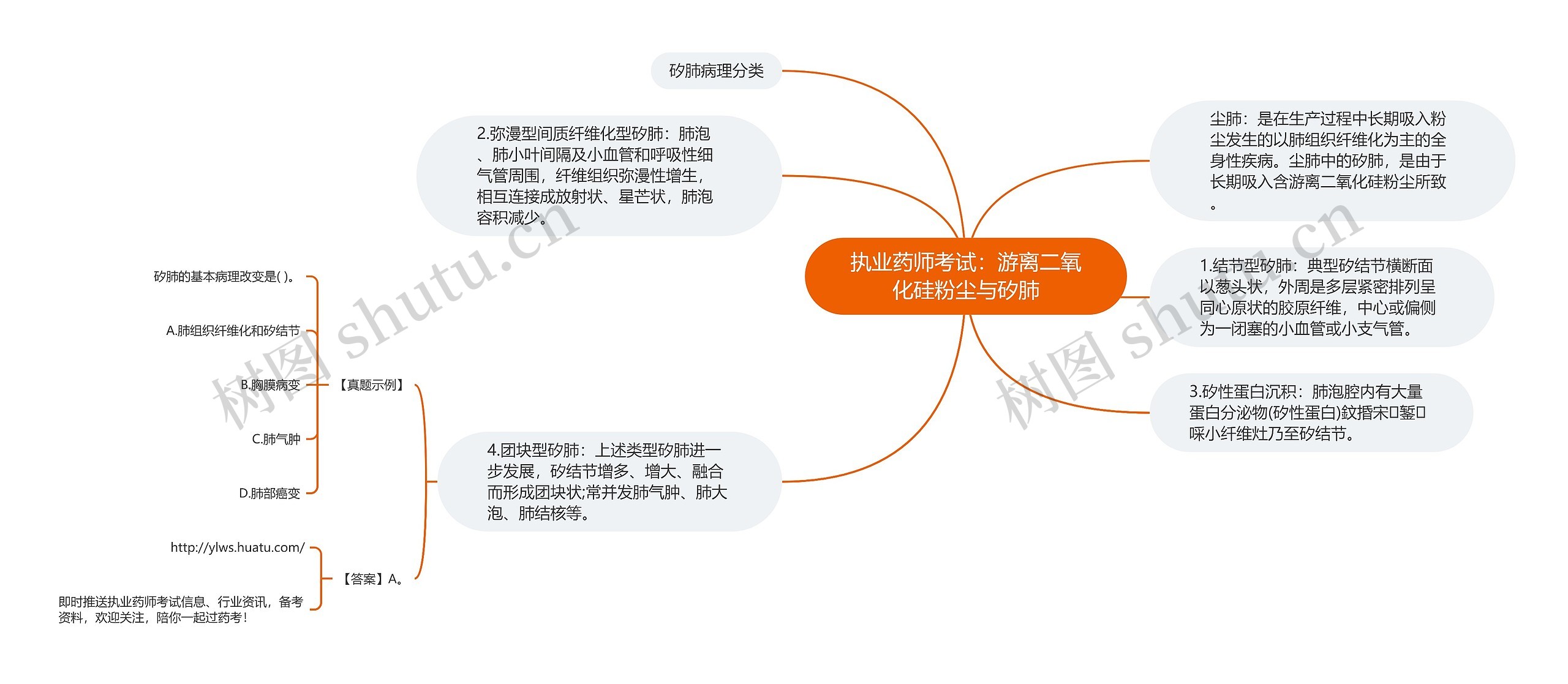 执业药师考试：游离二氧化硅粉尘与矽肺思维导图