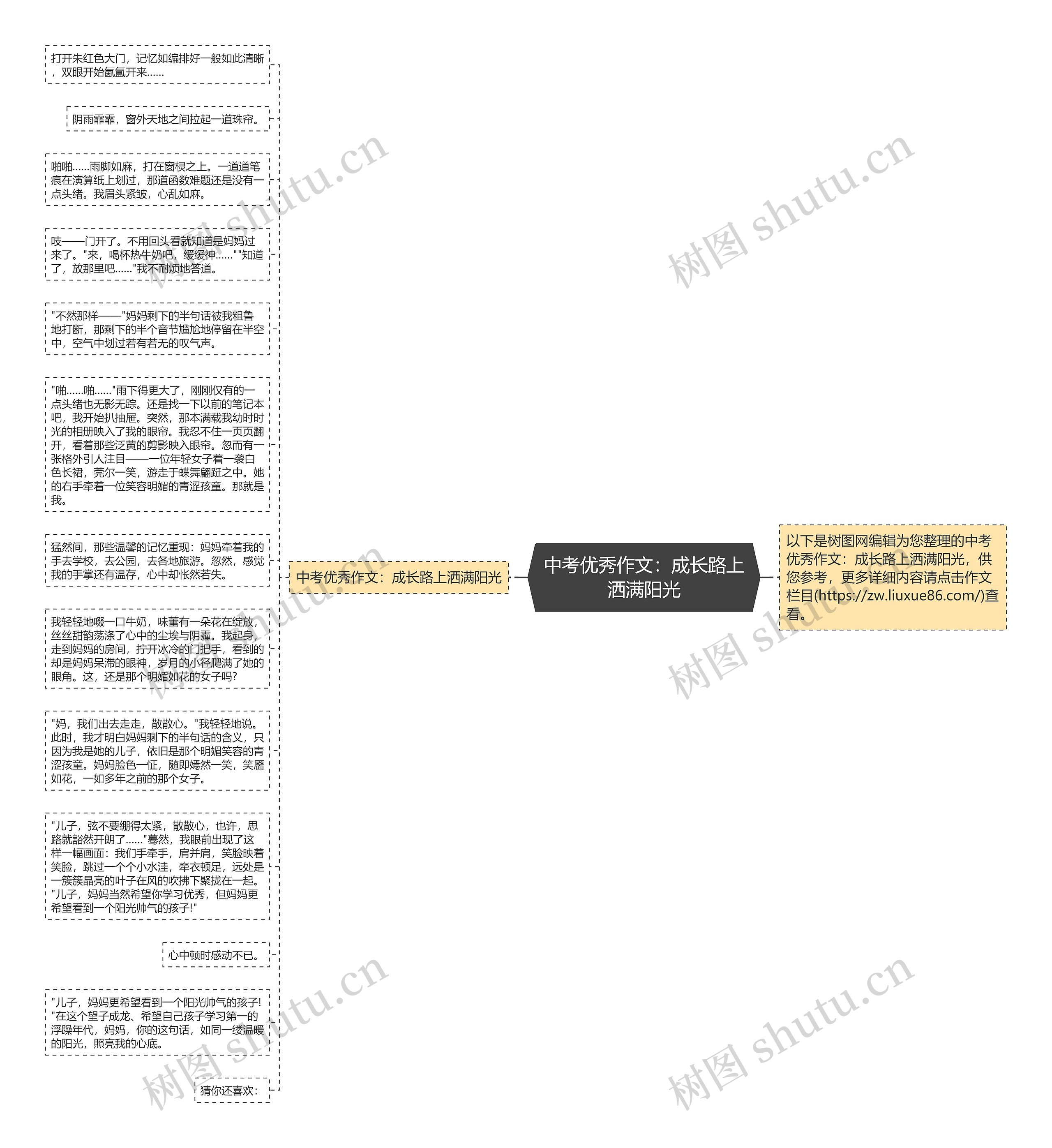 中考优秀作文：成长路上洒满阳光