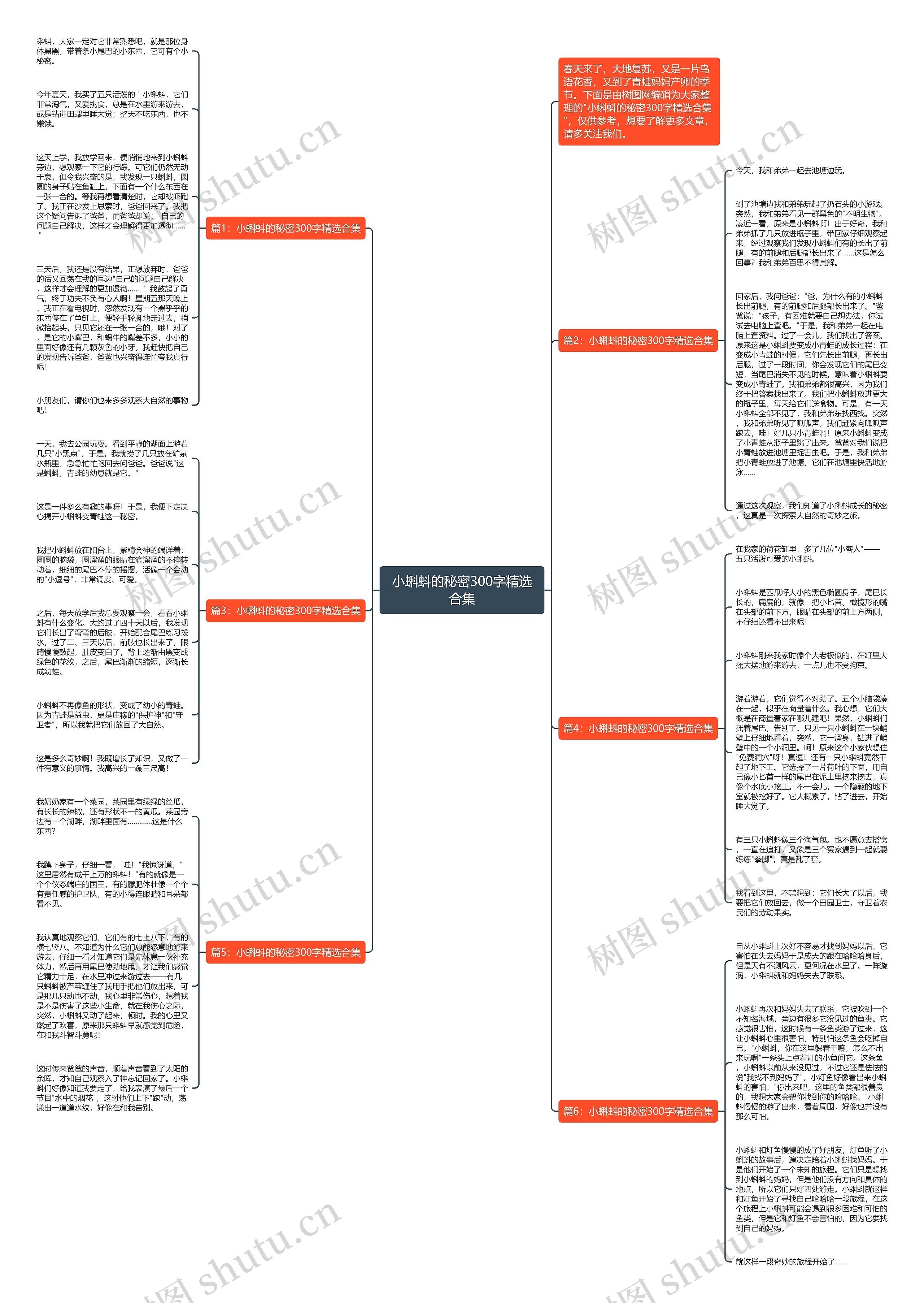 小蝌蚪的秘密300字精选合集思维导图