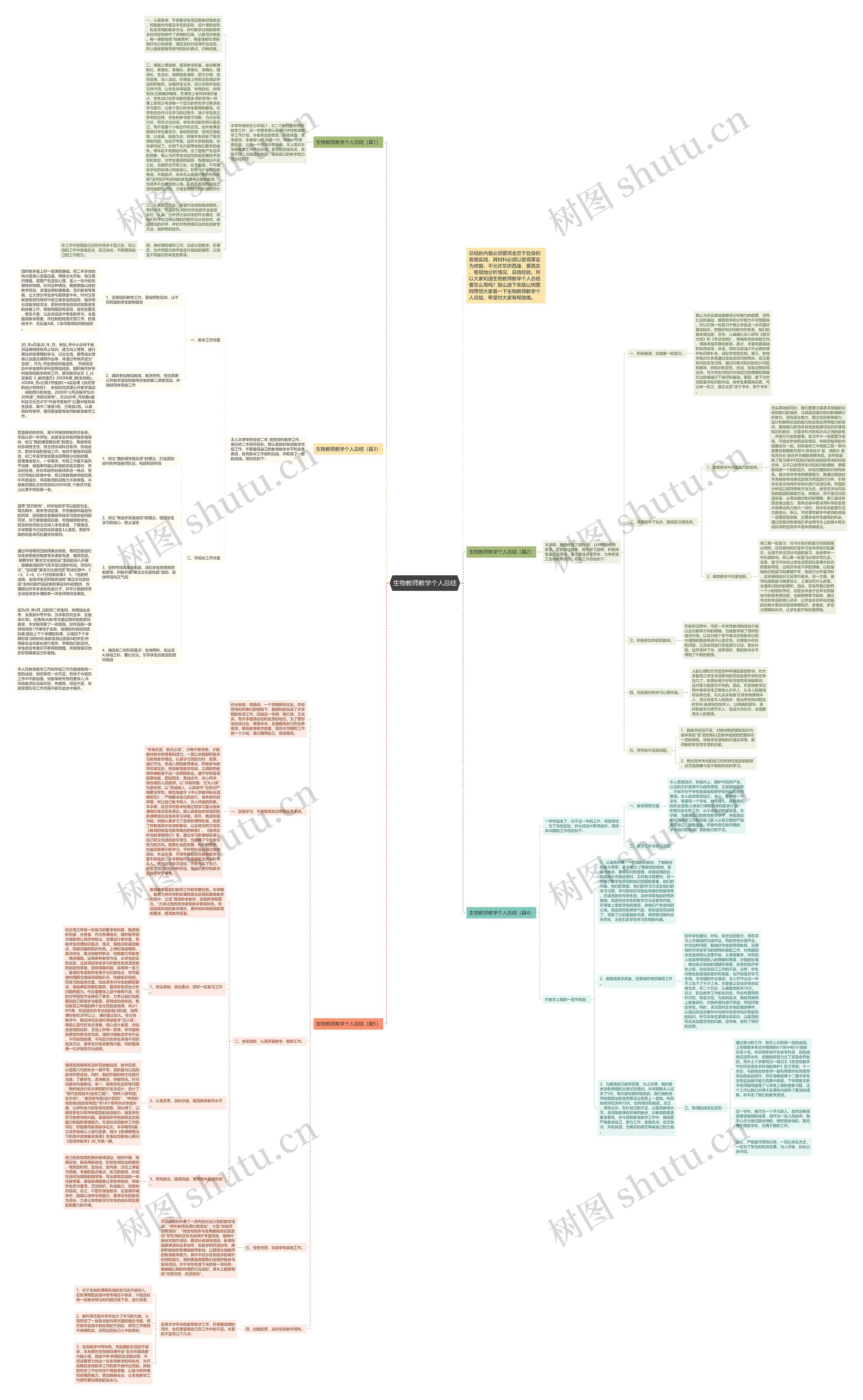 生物教师教学个人总结思维导图