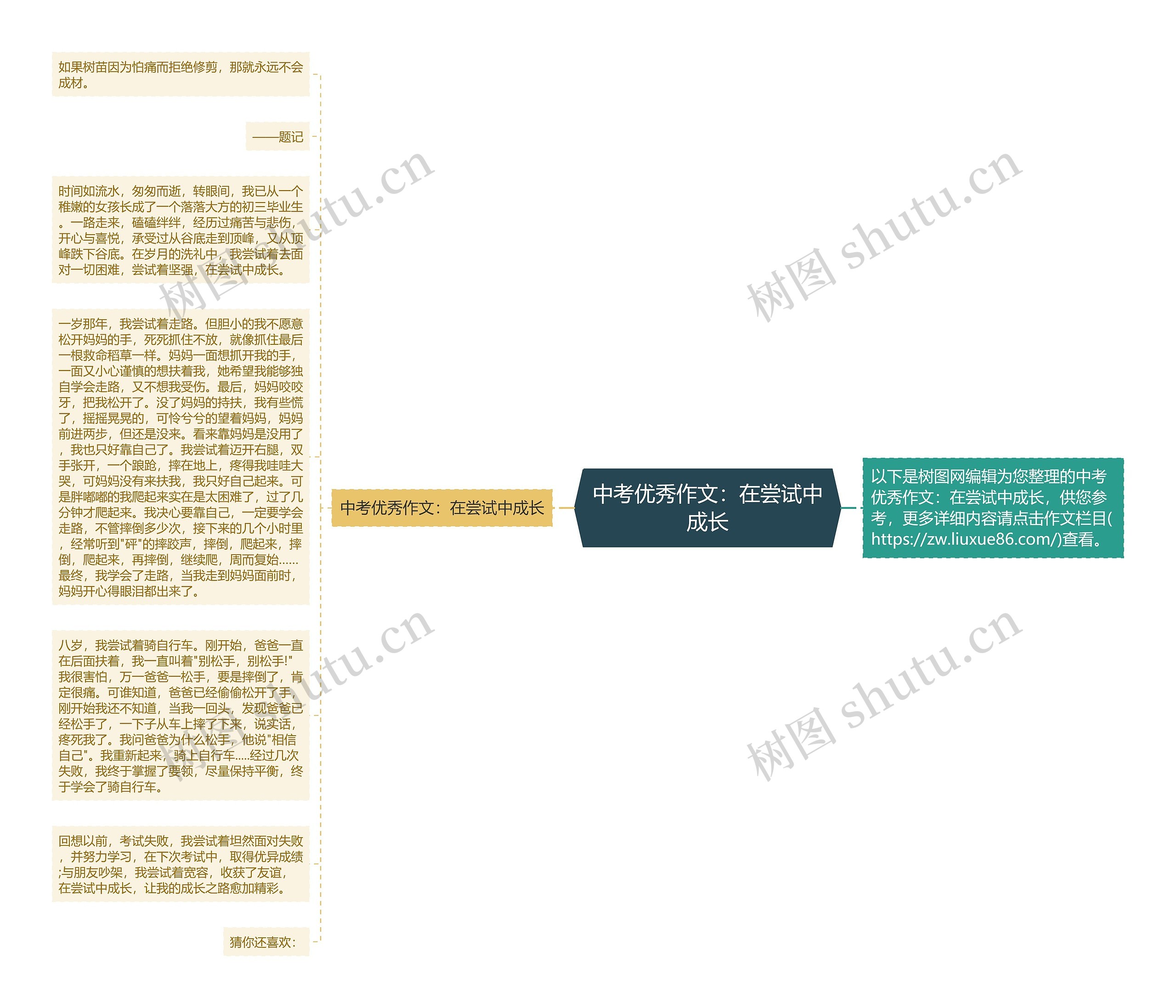 中考优秀作文：在尝试中成长思维导图