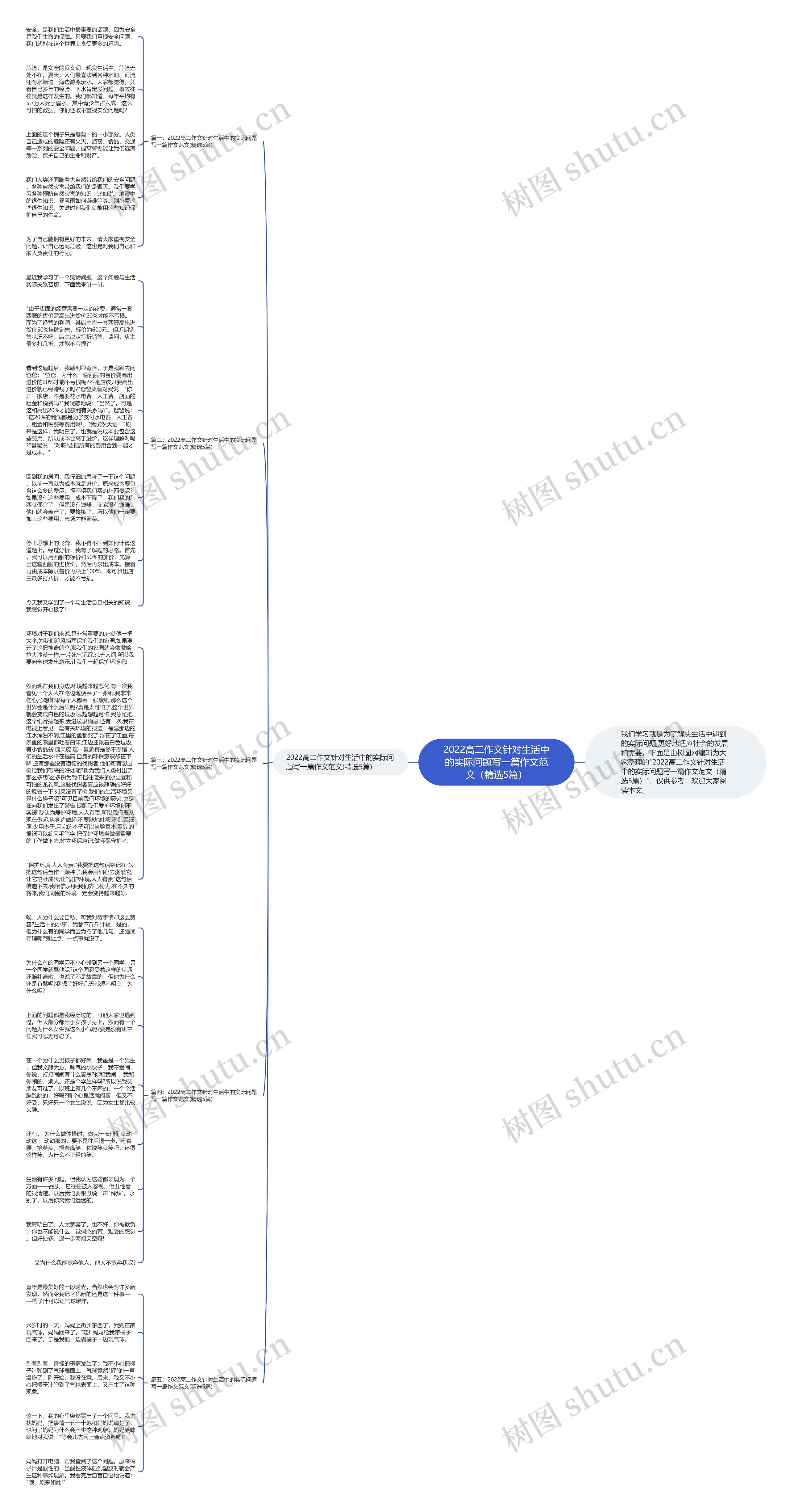 2022高二作文针对生活中的实际问题写一篇作文范文（精选5篇）思维导图