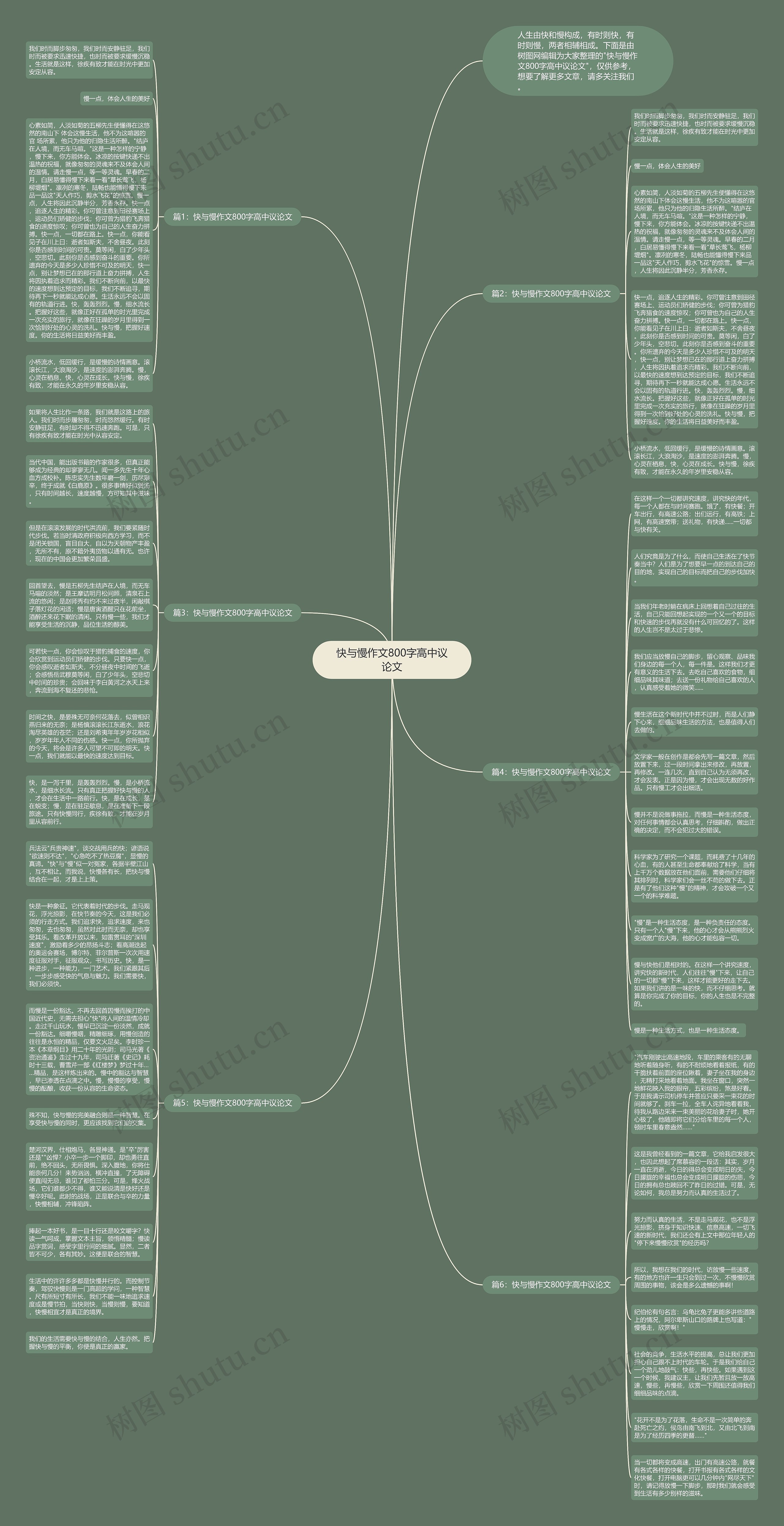 快与慢作文800字高中议论文思维导图