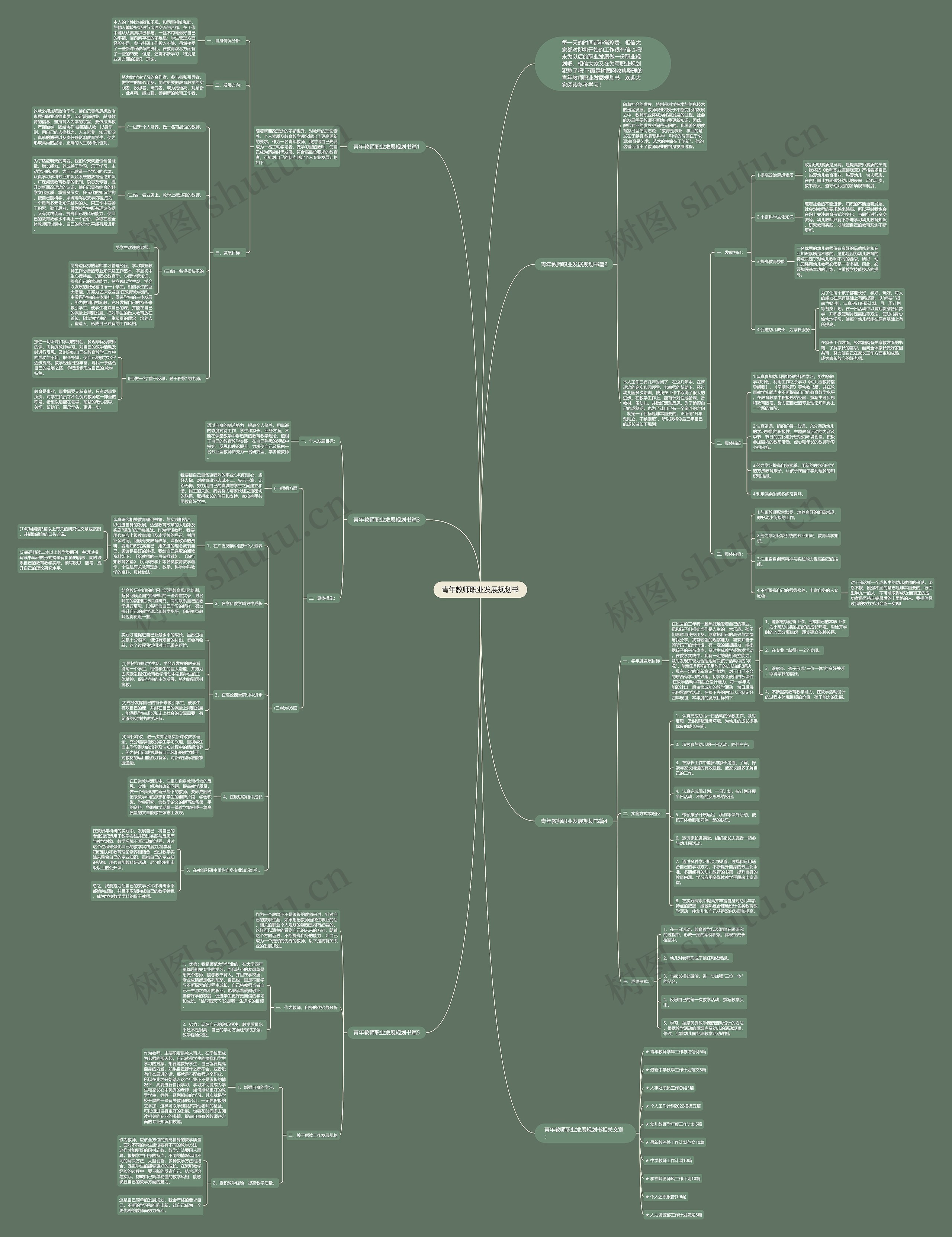 青年教师职业发展规划书思维导图