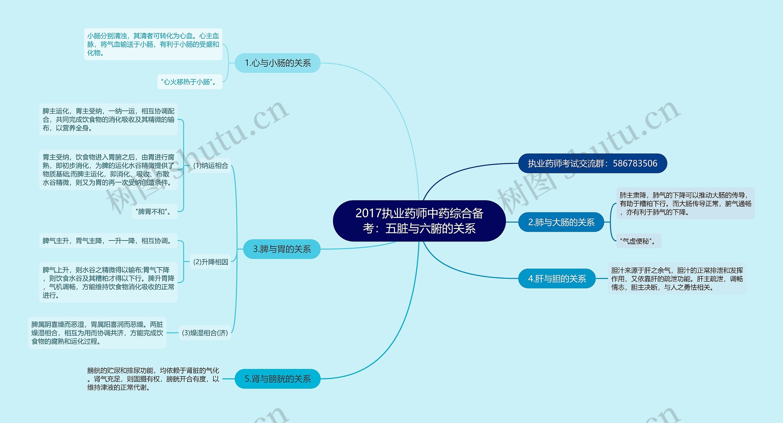 2017执业药师中药综合备考：五脏与六腑的关系思维导图