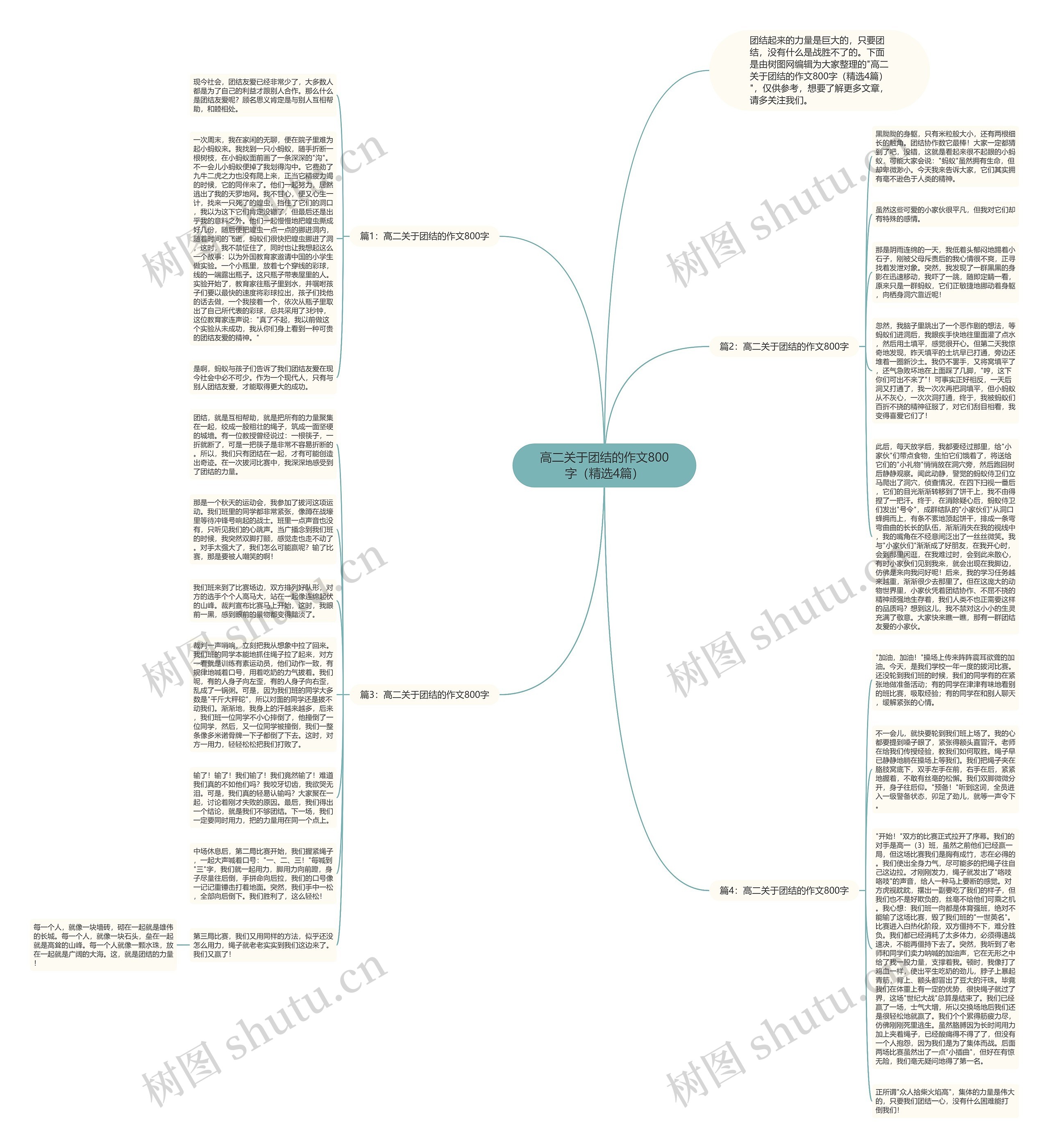 高二关于团结的作文800字（精选4篇）思维导图