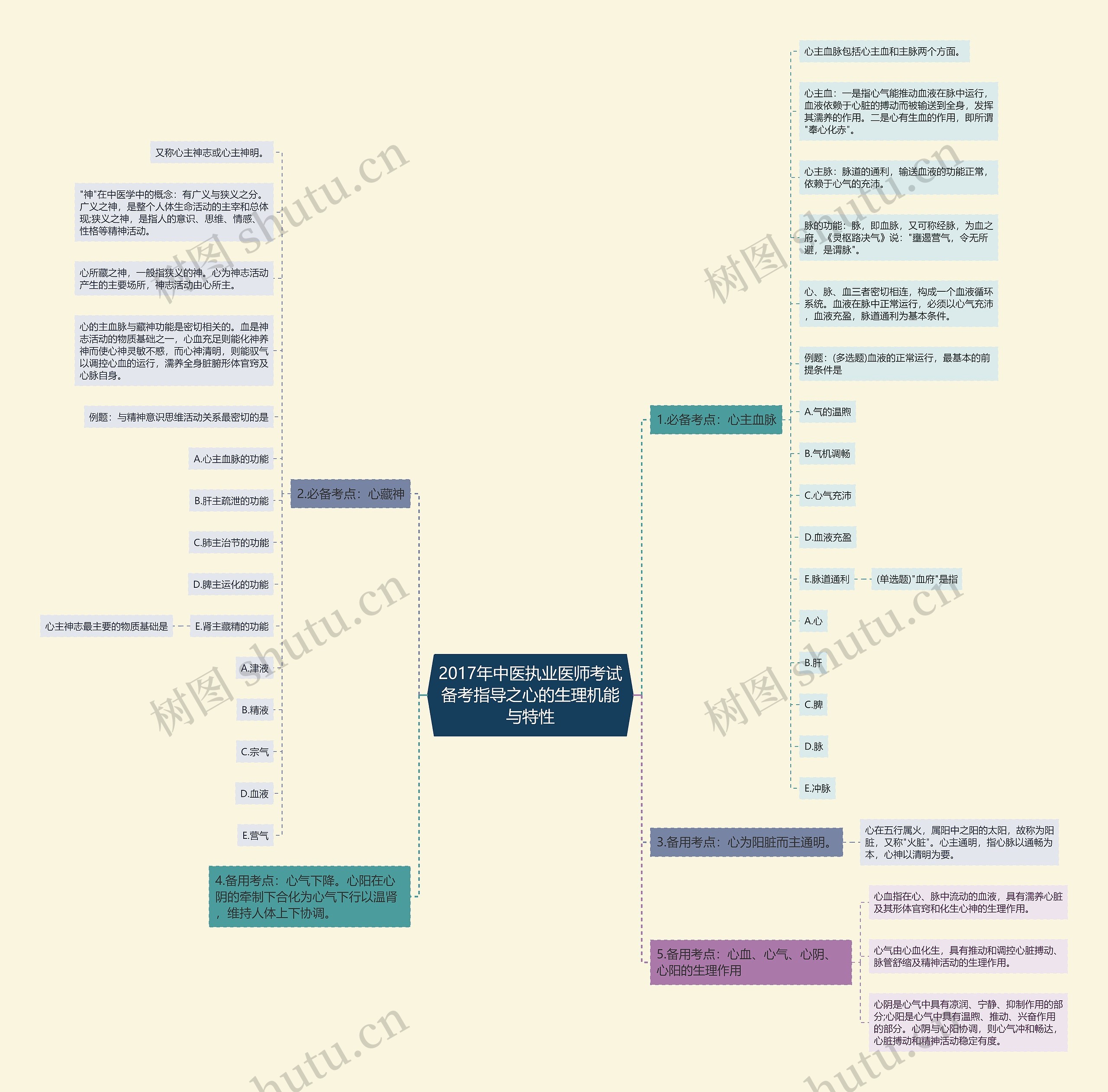 2017年中医执业医师考试备考指导之心的生理机能与特性 2017年中医执业医师考试备考指导之心的生理机能与特性