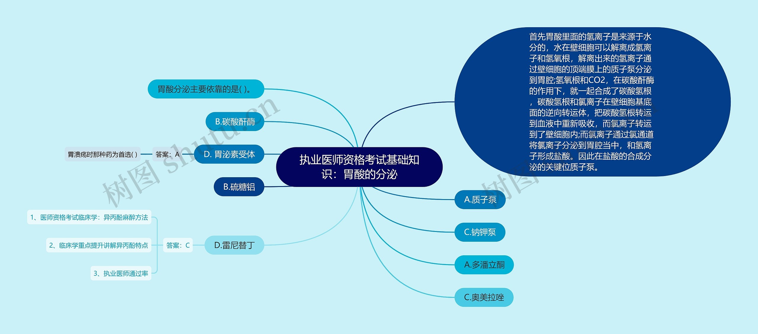 执业医师资格考试基础知识：胃酸的分泌思维导图