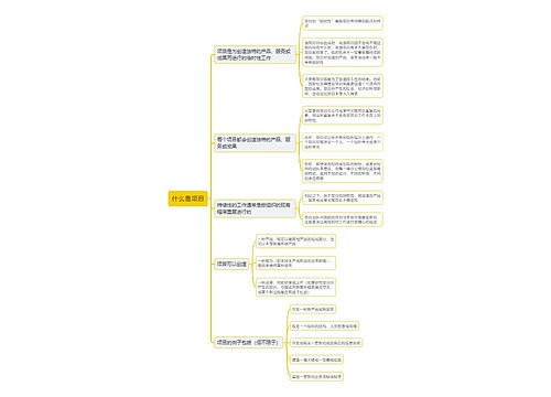 什么是项目