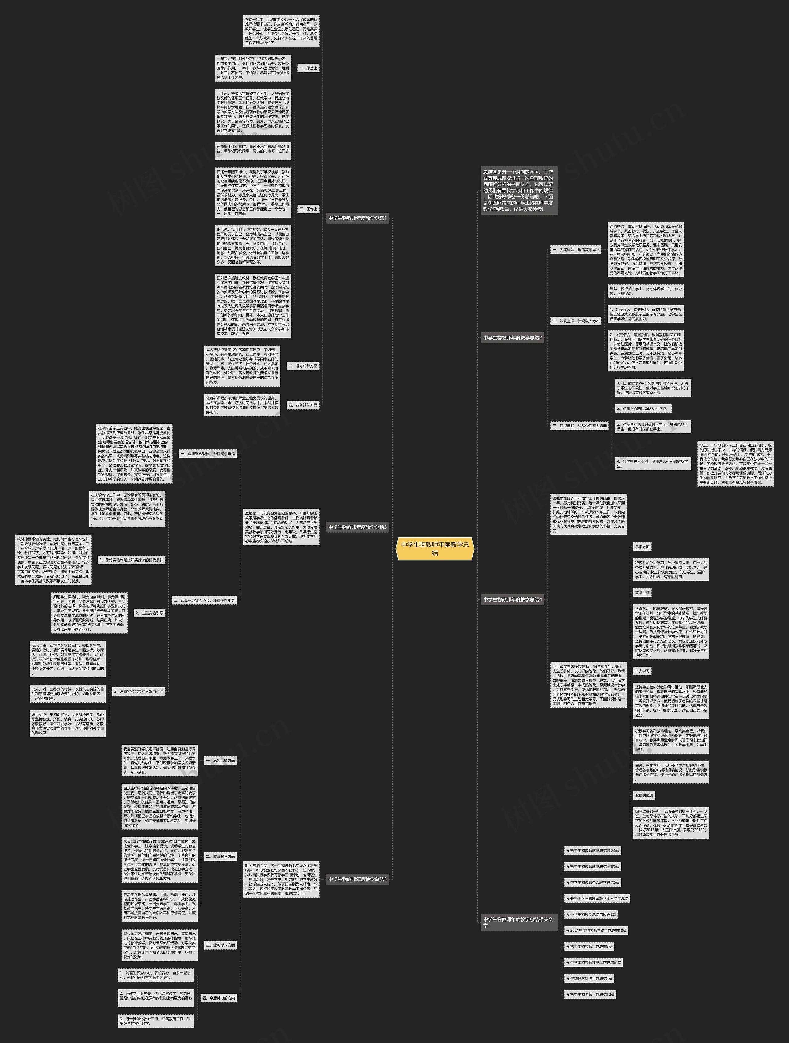 中学生物教师年度教学总结思维导图