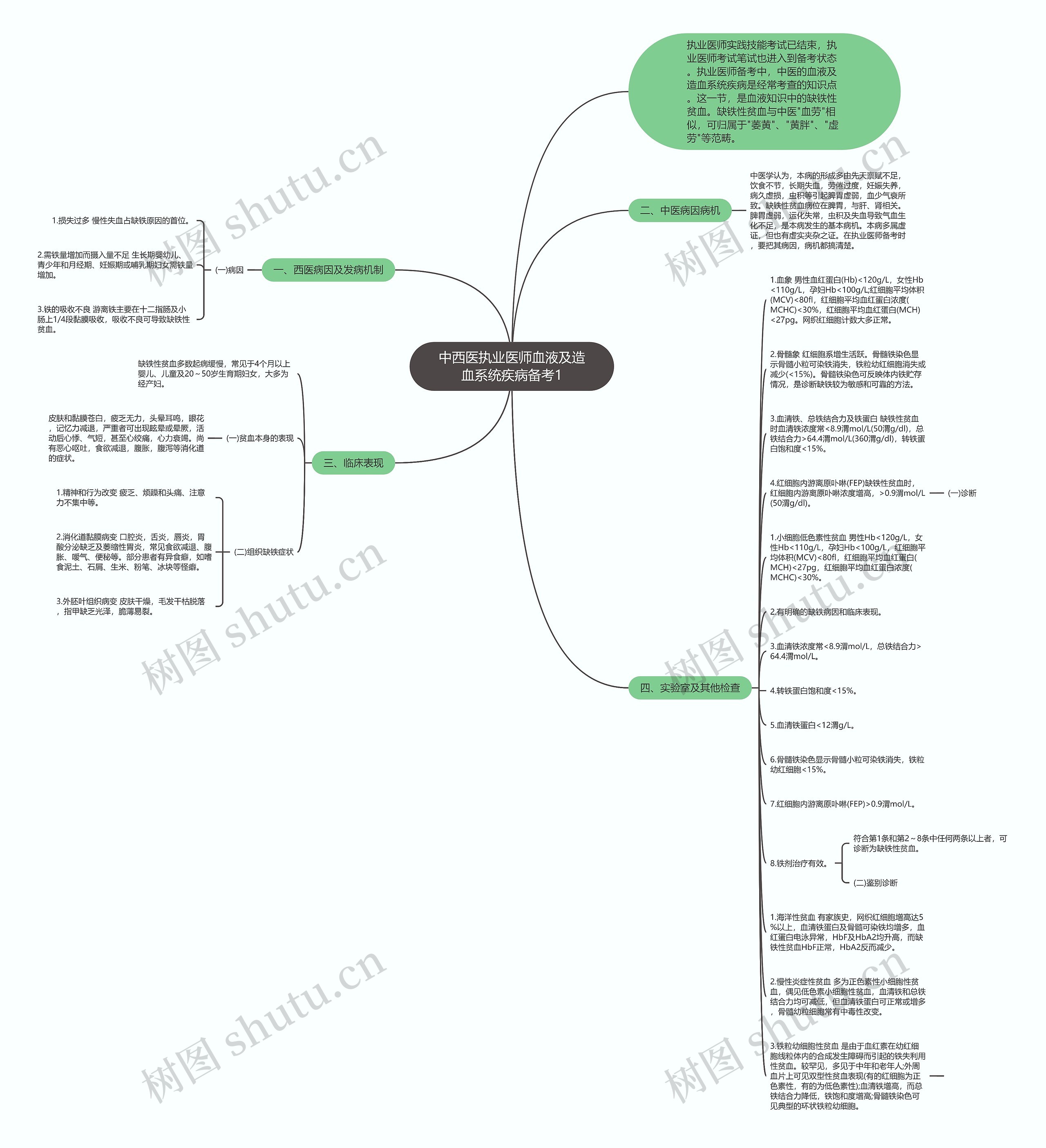 中西医执业医师血液及造血系统疾病备考1思维导图