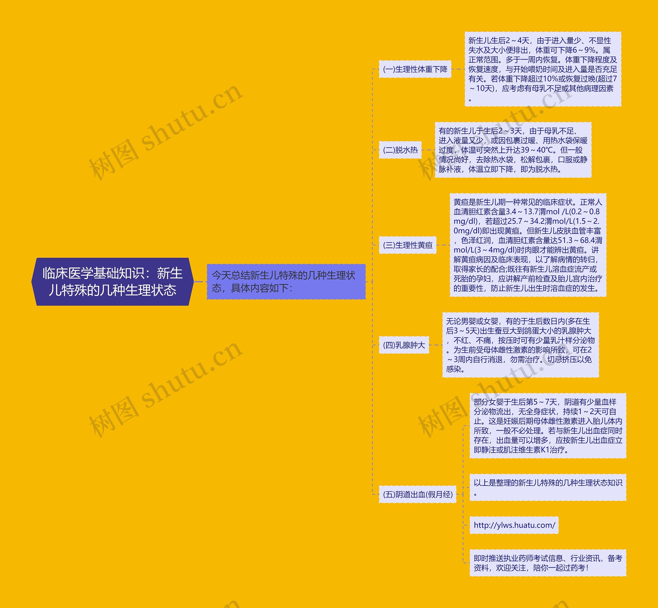 临床医学基础知识：新生儿特殊的几种生理状态思维导图